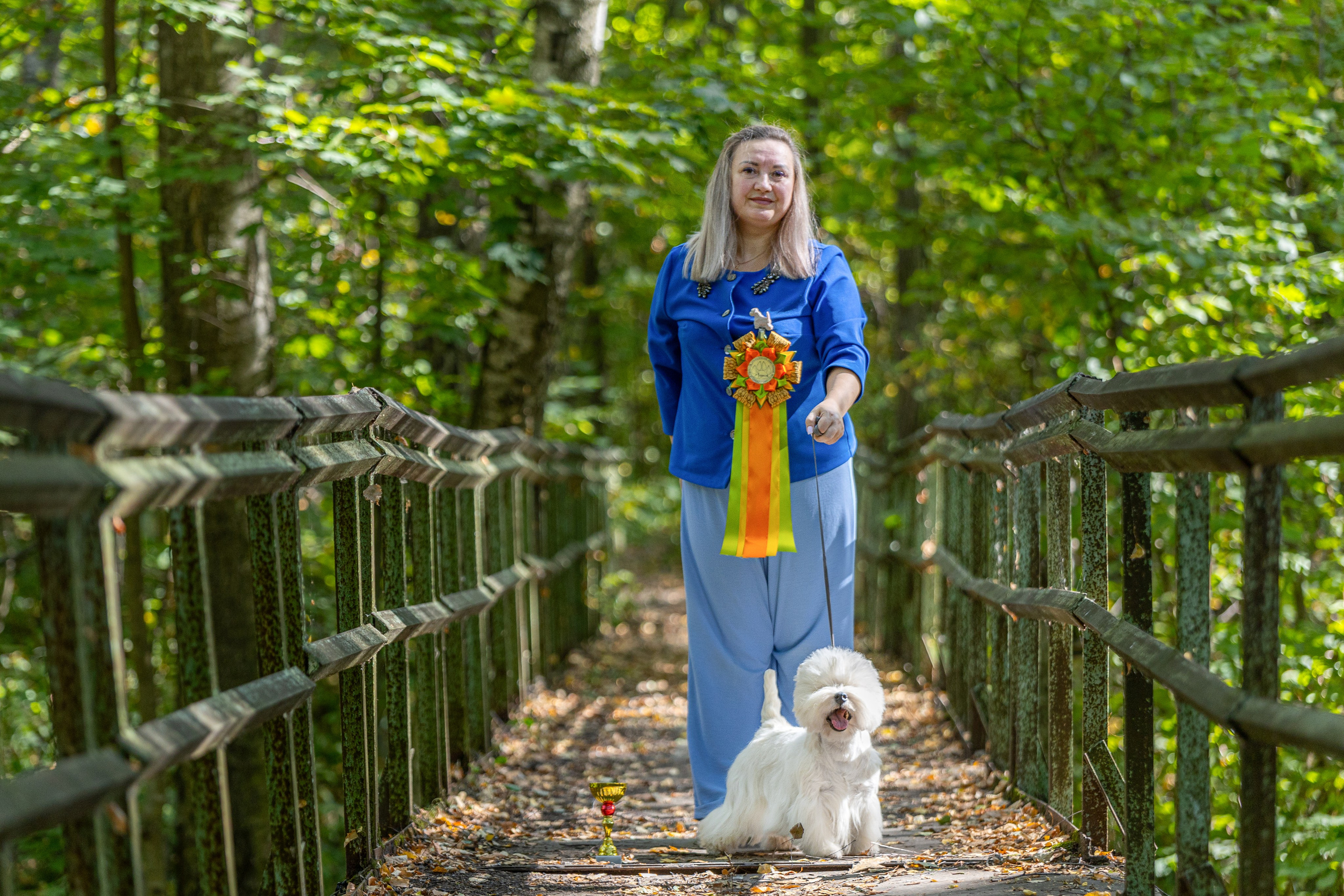 Выставка собак Орел 15.09.2024. Купить щенка Вельш-корги-кардиган в семейном питомнике — Ice Fantasy