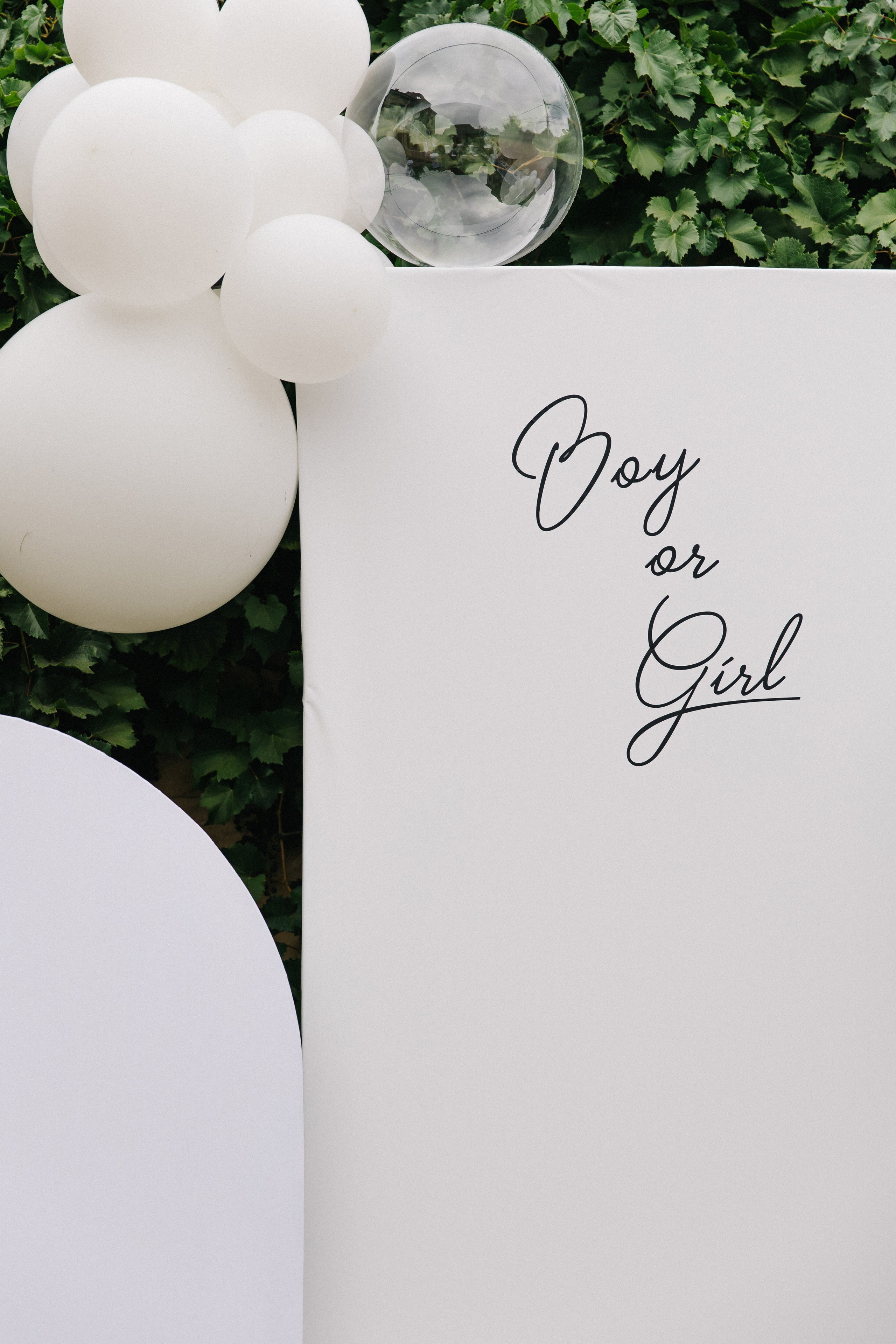 Гендер-пати. Свадебный Фотограф Светлана Карпенко Ростов-на-Дону