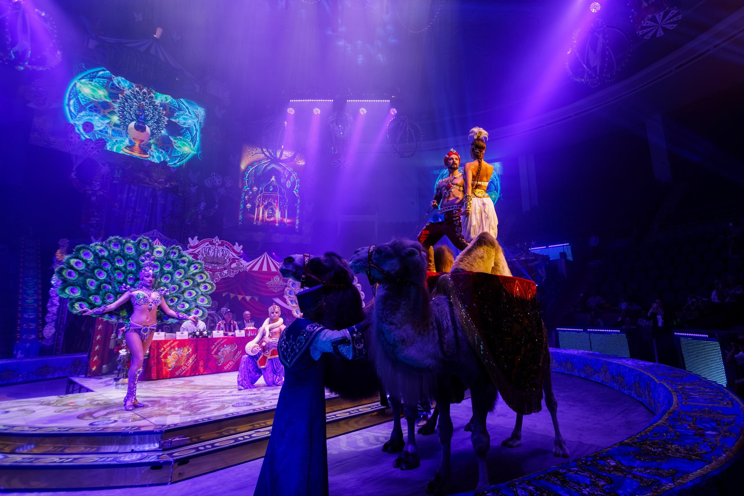 Сочинский росгорцирк Шоу Гии Эрадзе цирк. Профессиональный фотограф в Сочи Виктория Джой. Обучение