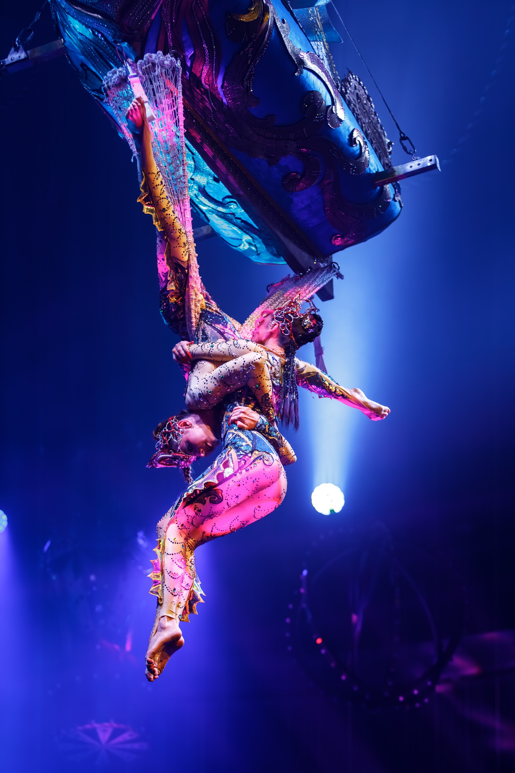 Сочинский росгорцирк Шоу Гии Эрадзе цирк. Профессиональный фотограф в Сочи Виктория Джой. Обучение