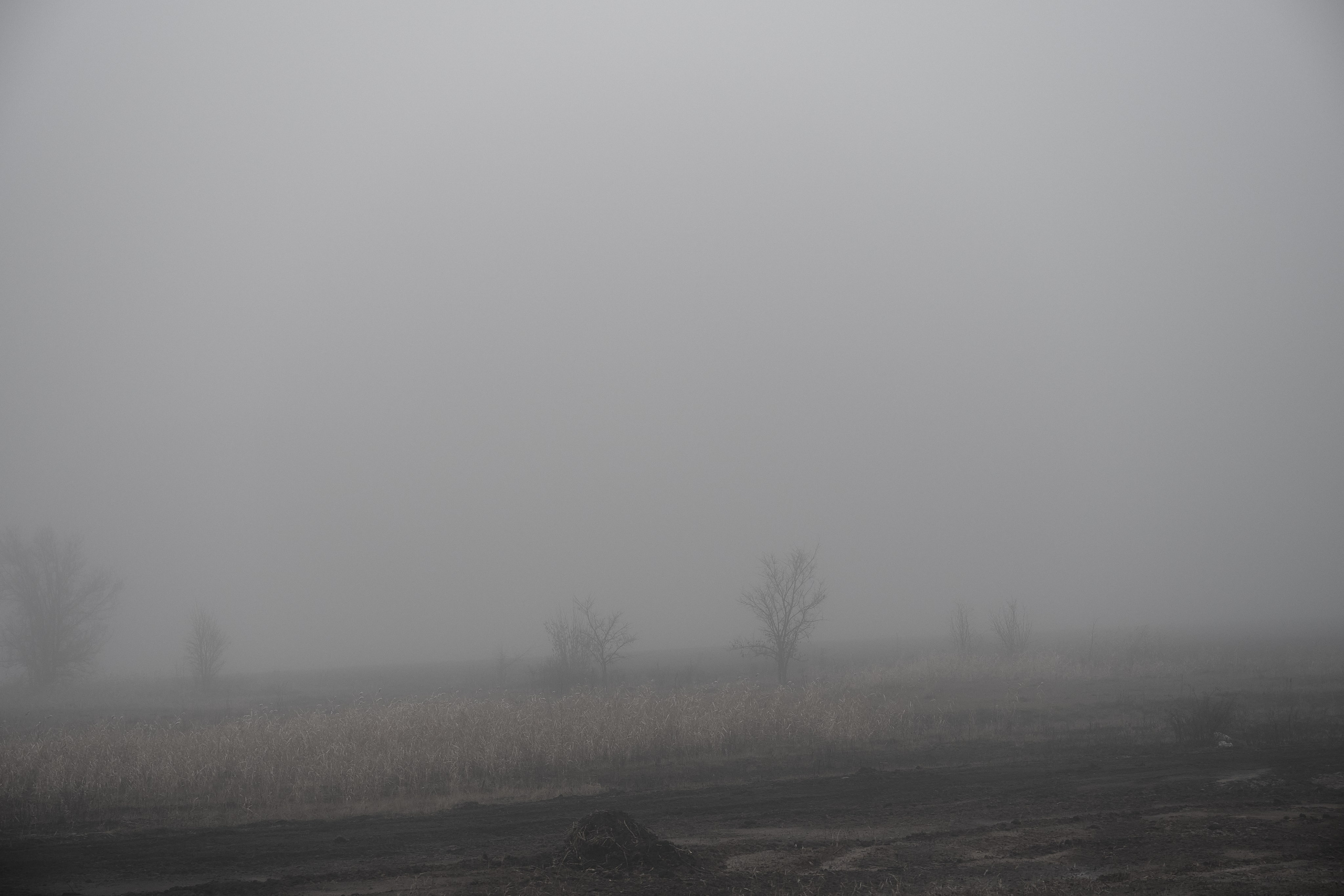 Дорога домой. Туман. Фотограф Роман Адлер