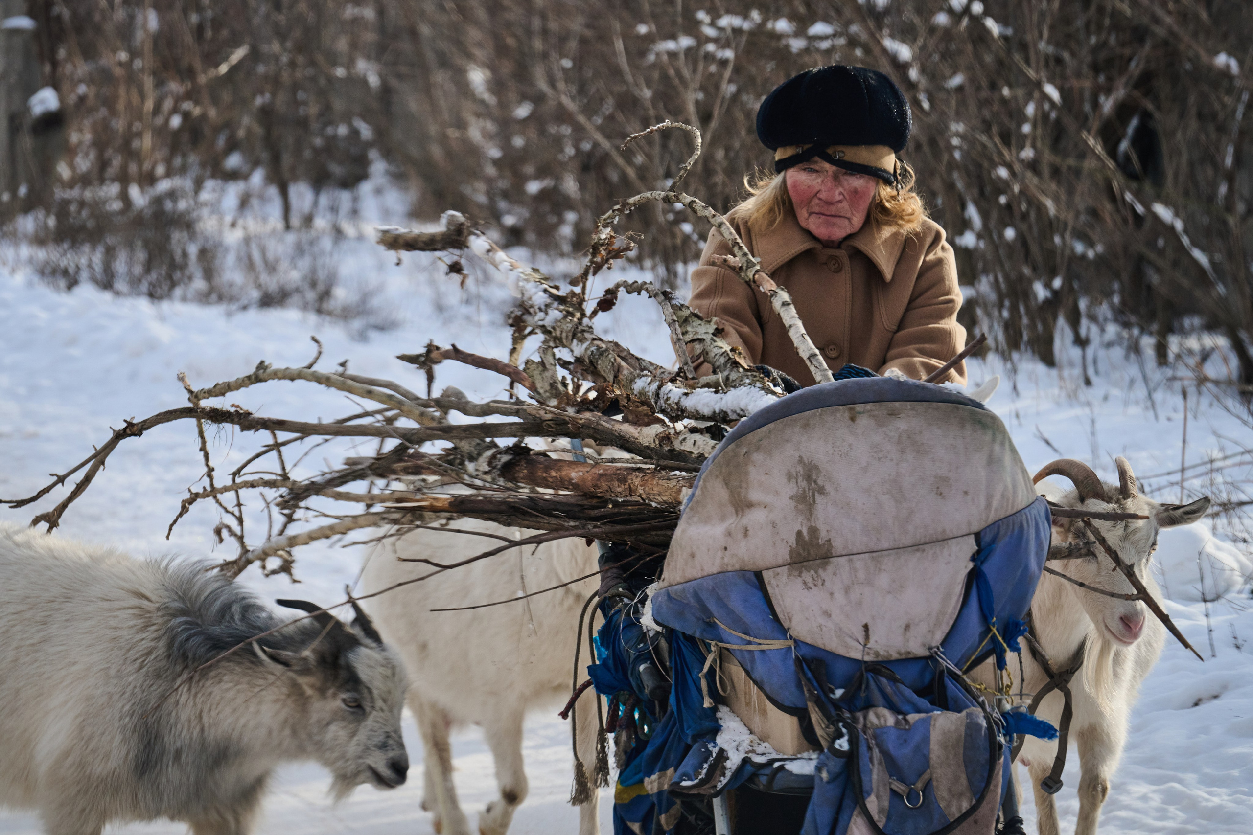 Рубежное. Январь 2026. Фотограф Роман Адлер