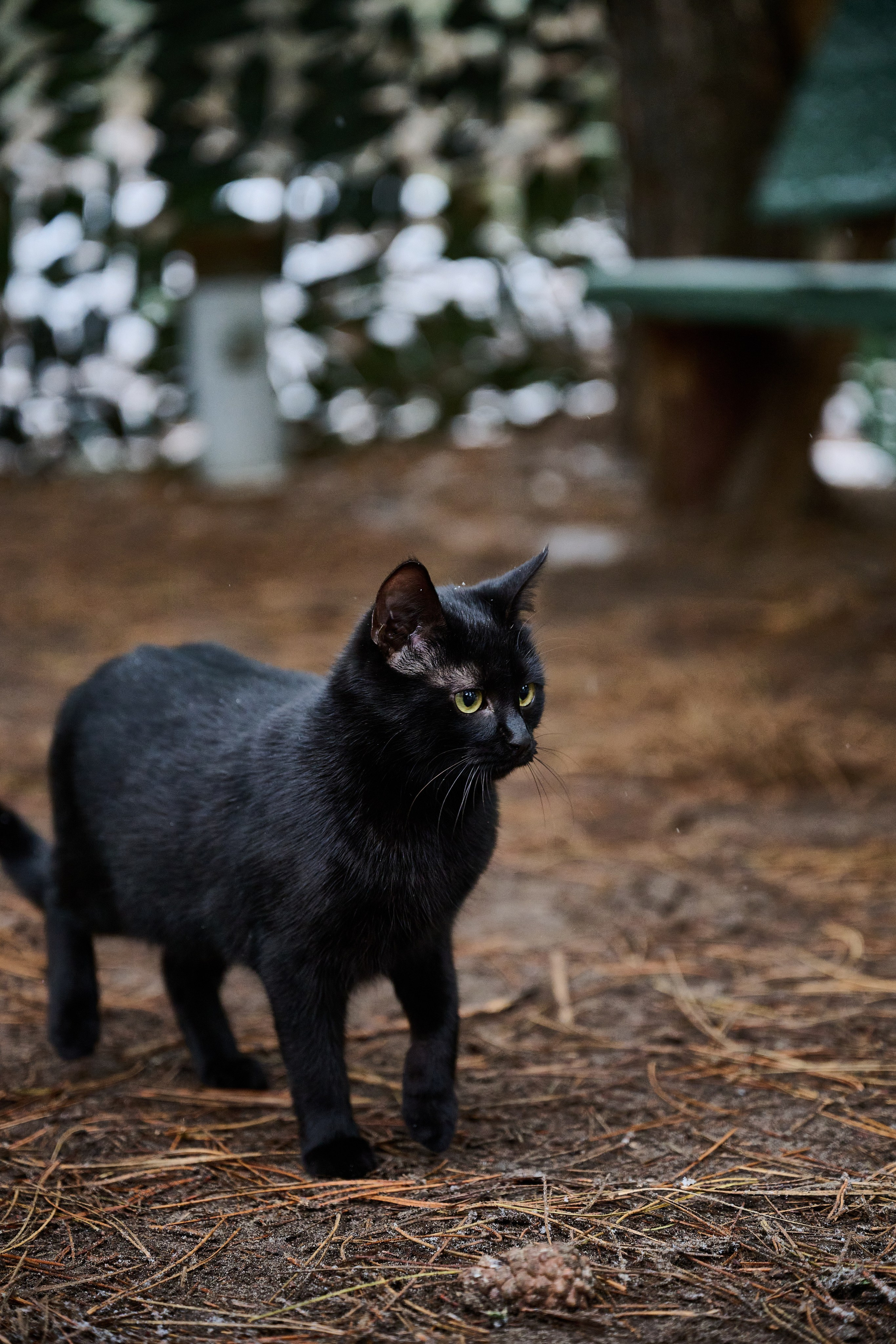 Будни съёмок фотопроекта Территории. Фотограф Роман Адлер