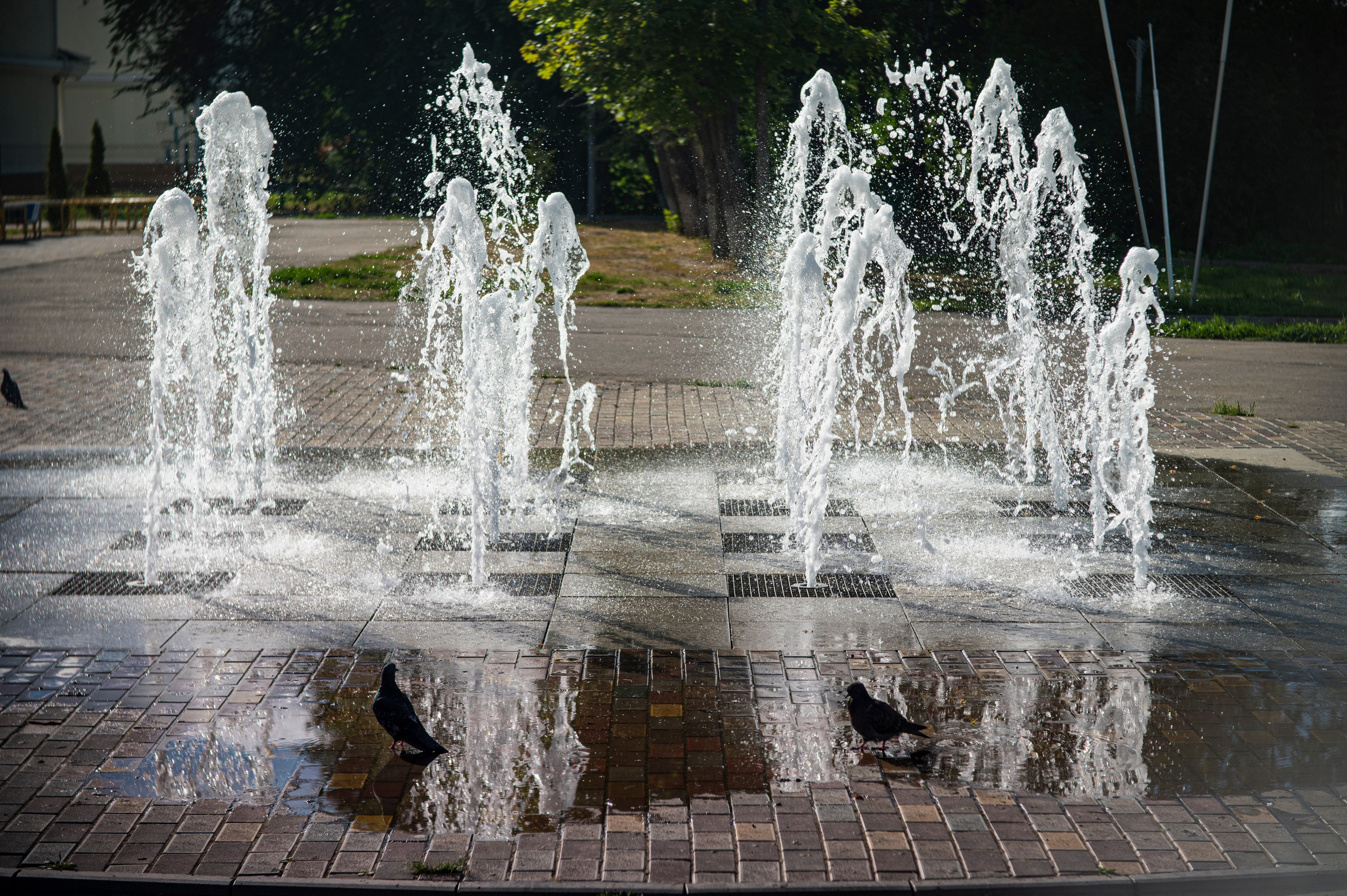 Муром. Сентябрь 2022. Фотограф Роман Адлер