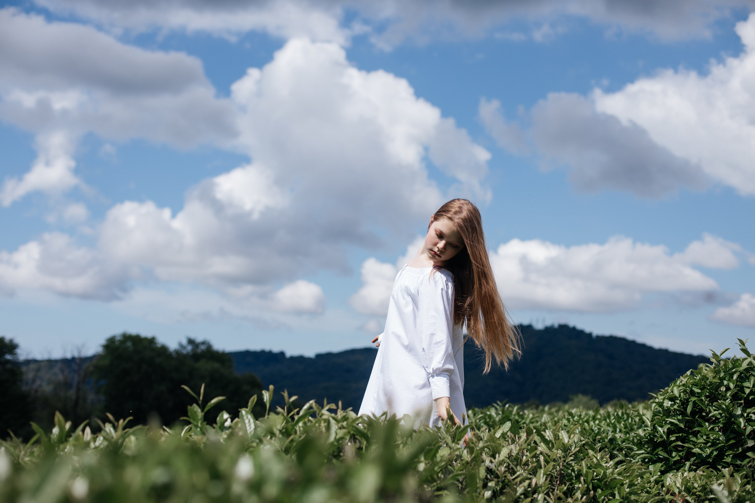 Tea plantation. Efimova Model Agency