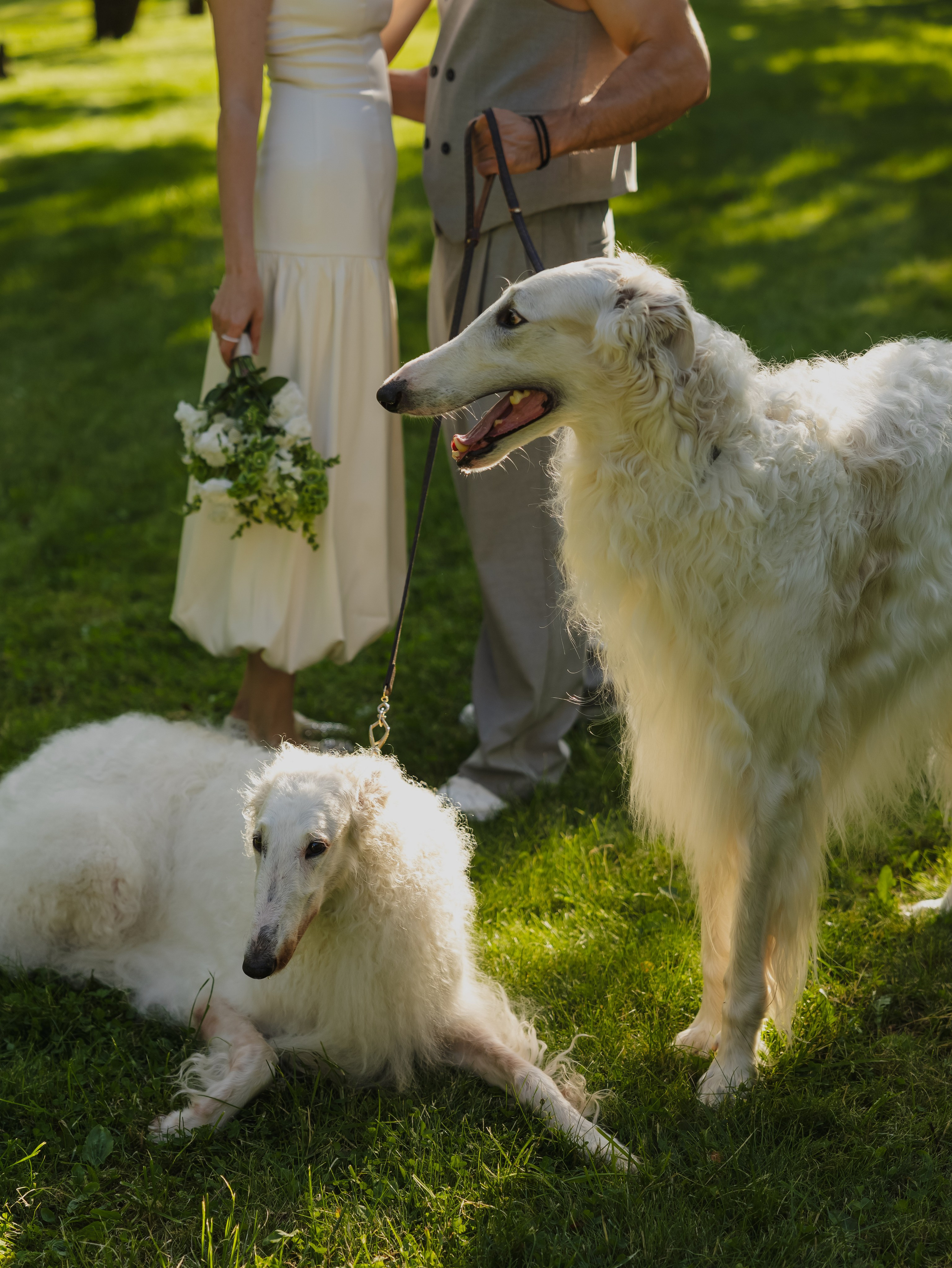 Одним летним вечером