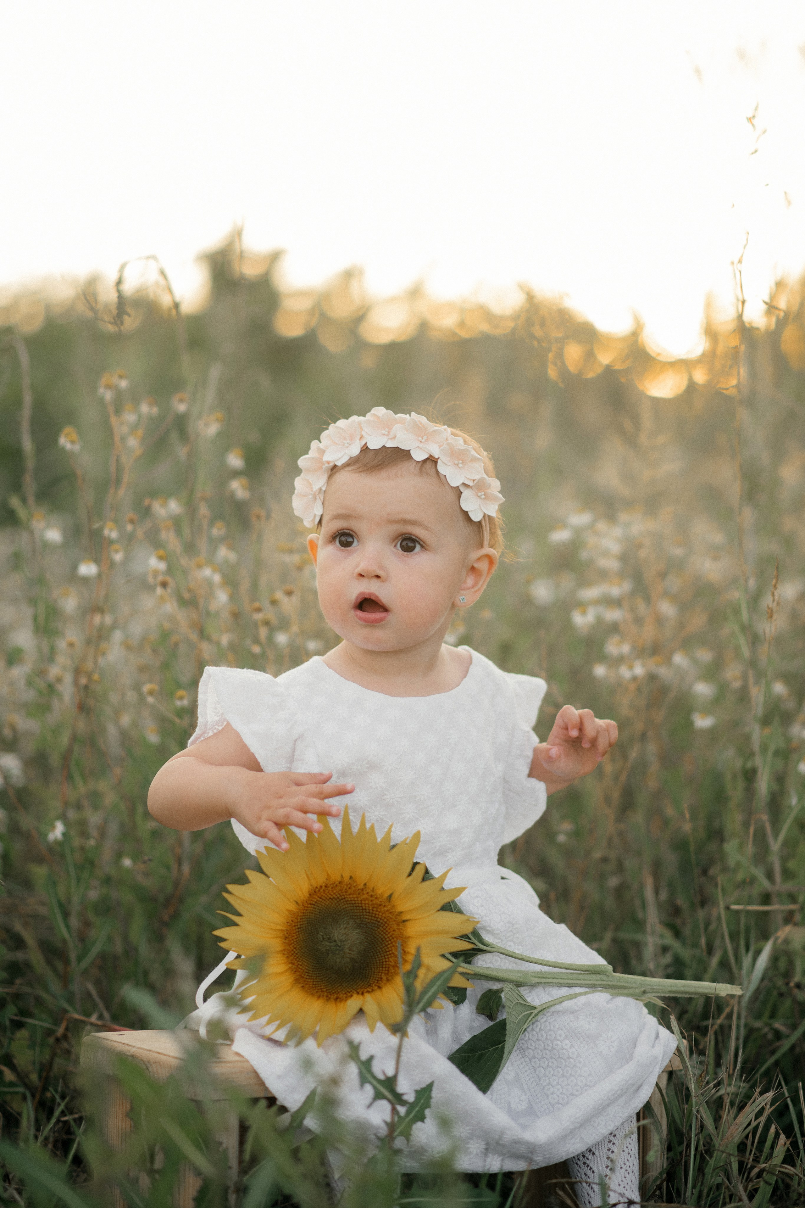 Семейные съемки. Главная