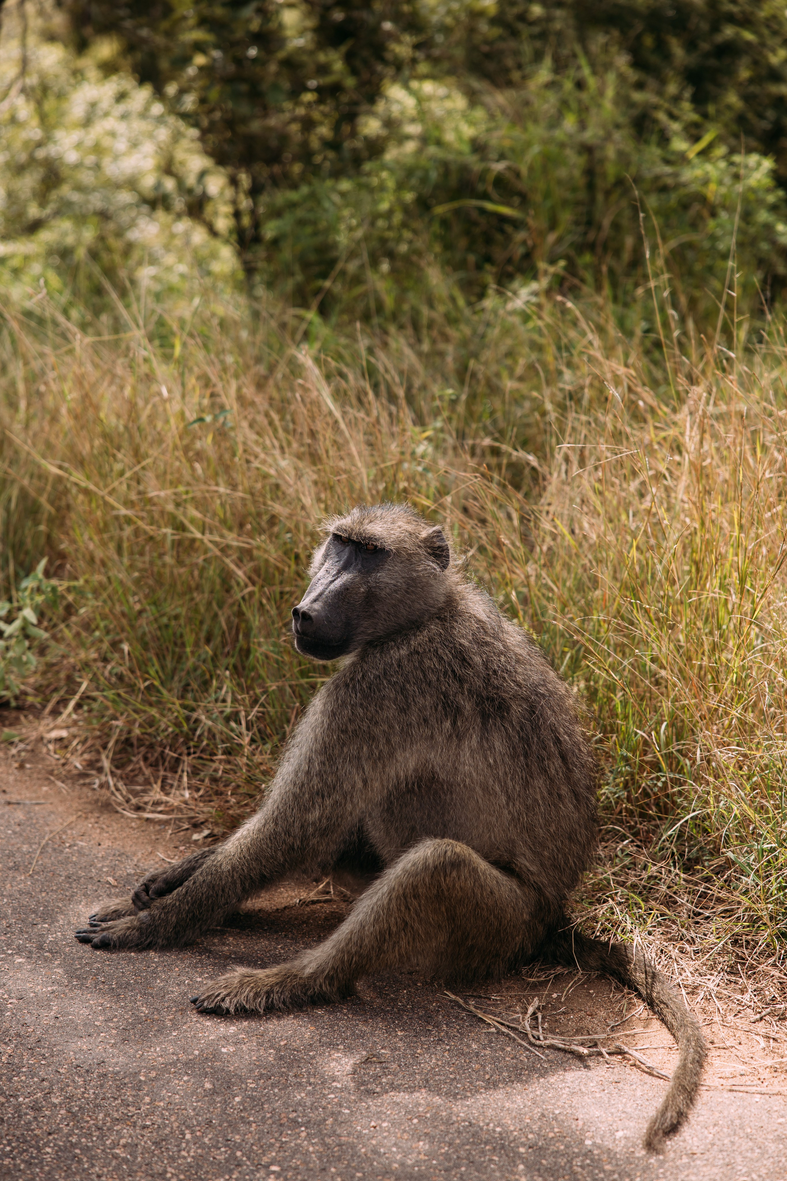 ФОТО ТУРЫ ПО МИРУ. Фотограф Марина Аблаева-Кожедуб
