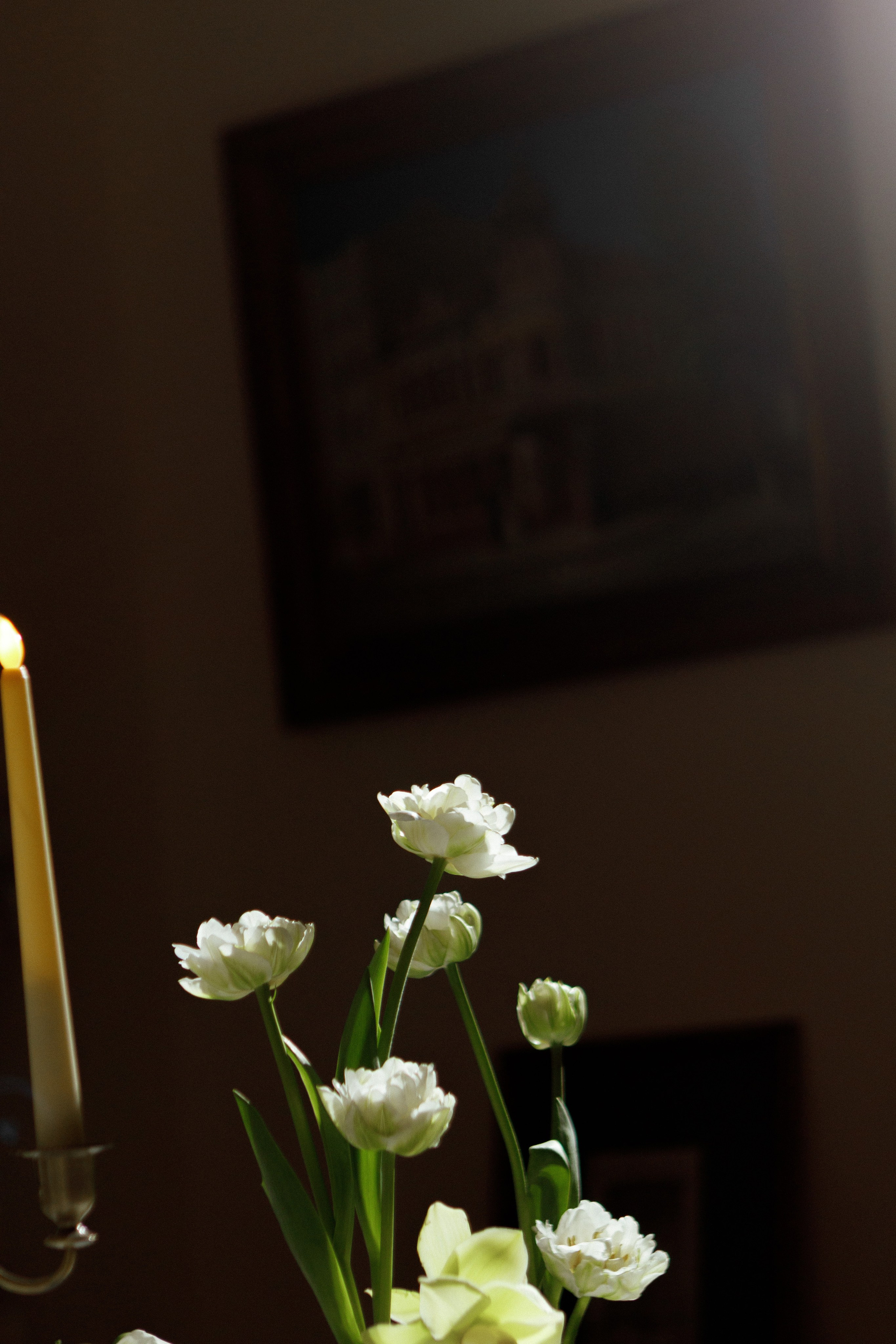 Влад & Алиса. Свадебный фотограф Ростов на Дону / Таганрог — Усачева Анастасия