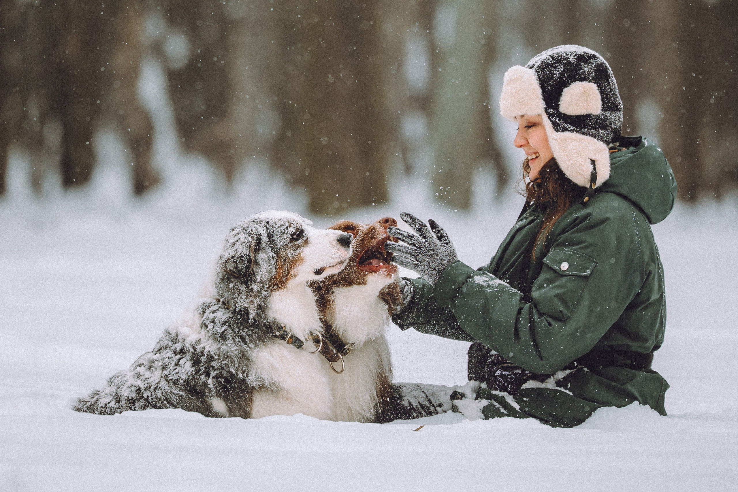 Лена, Принц и Фенек