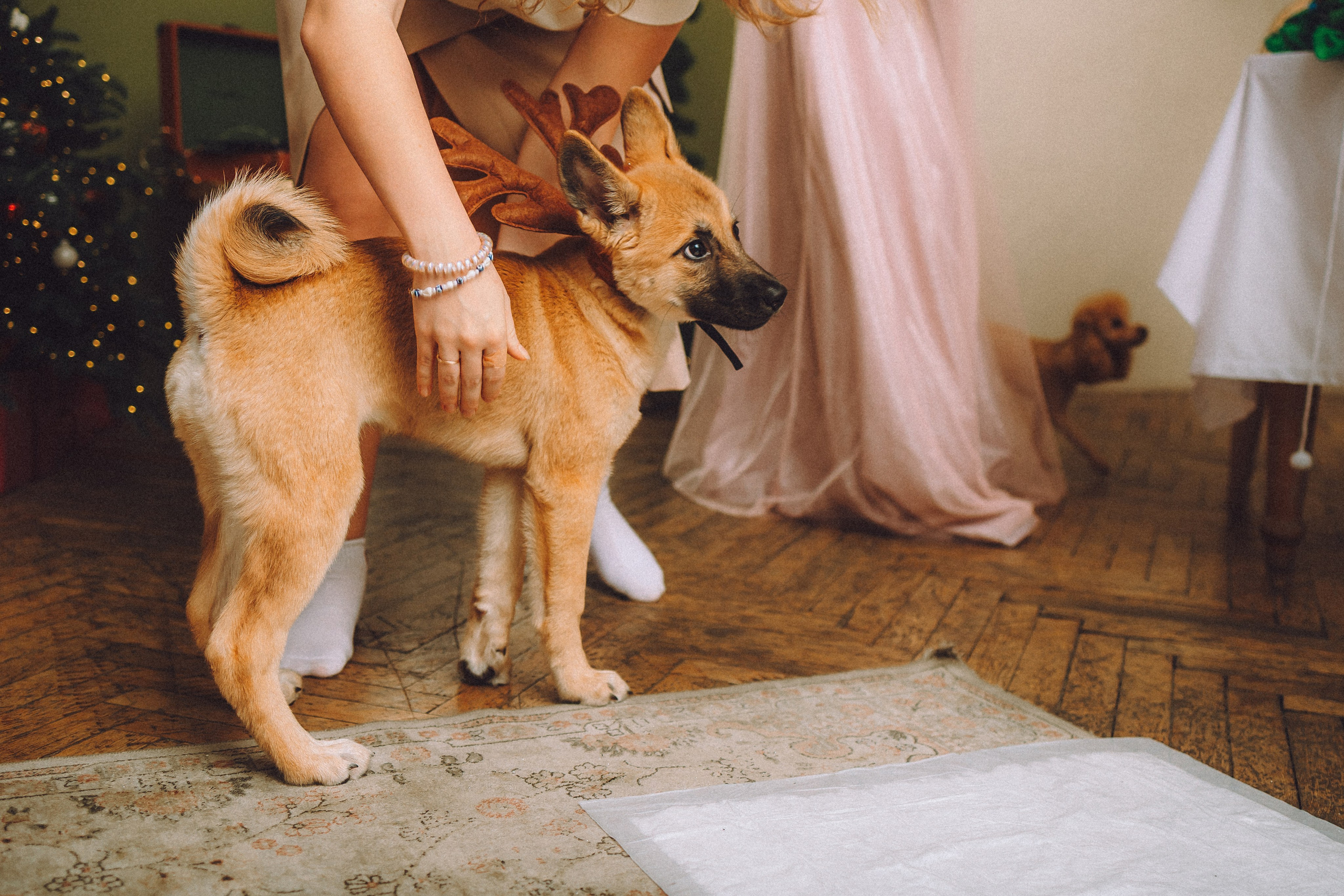 Джули, Шелли и их семья