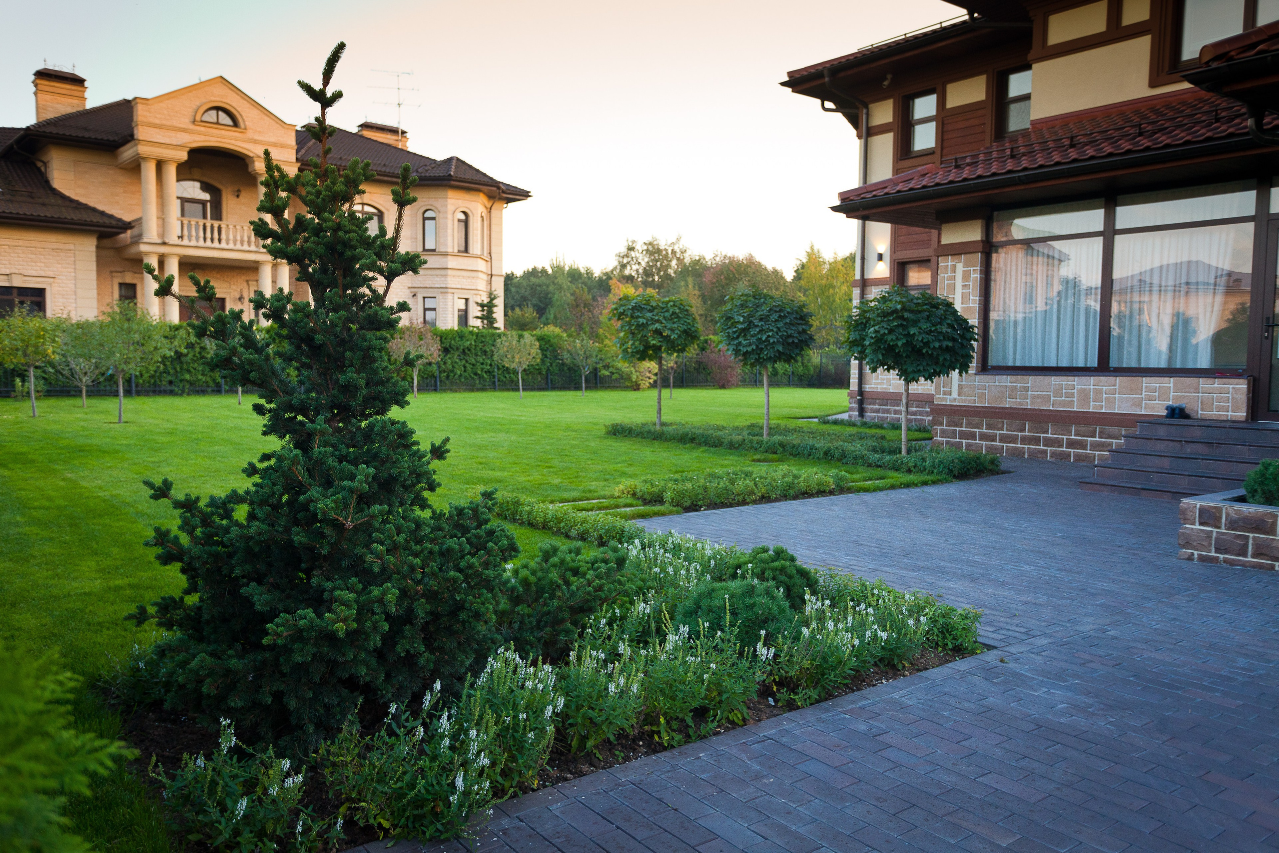 Ландшафт. Новый год 2026