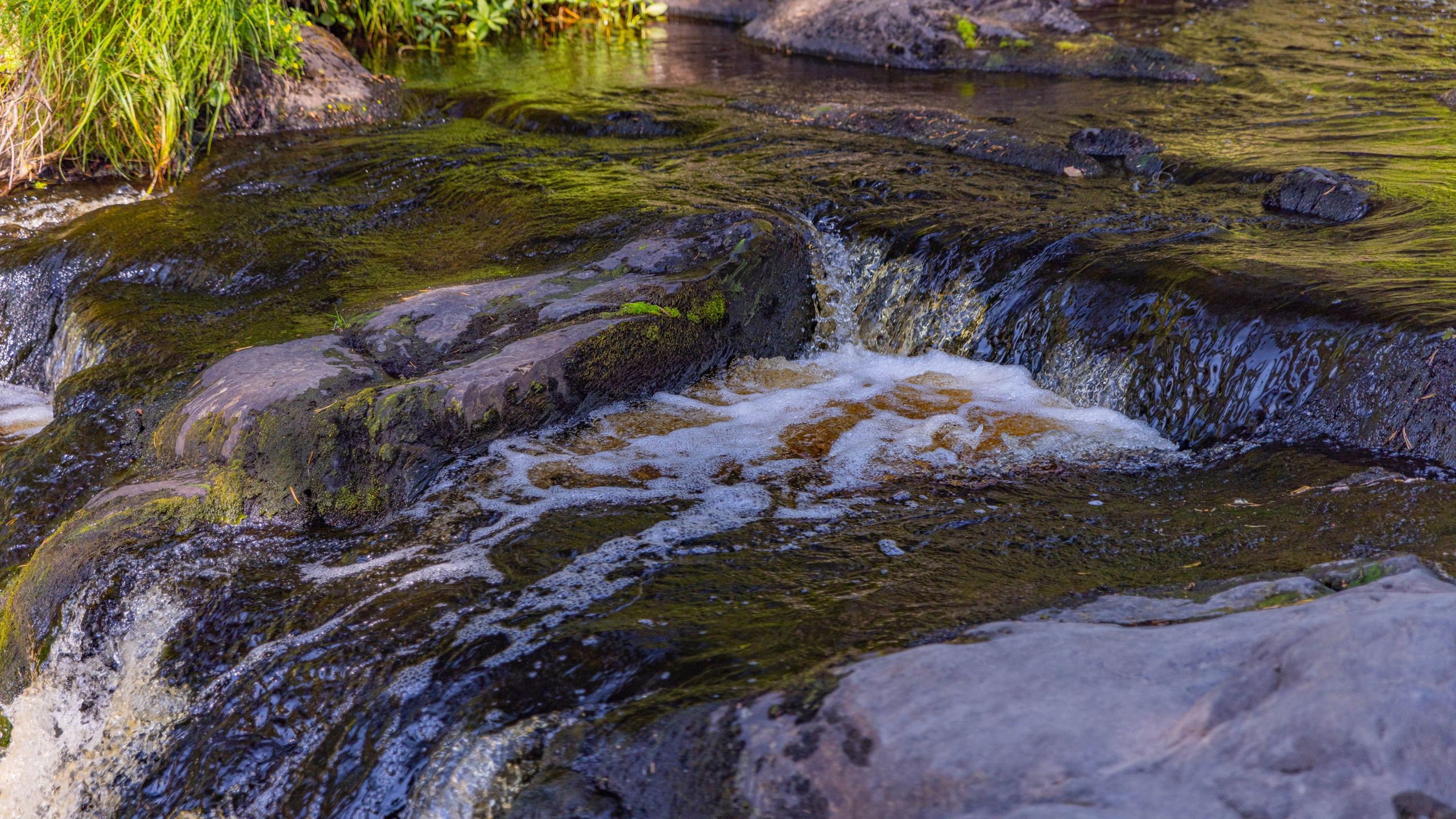 2025 07 Выборг — Сортавала — Великий Новгород — Псков. Фотографии