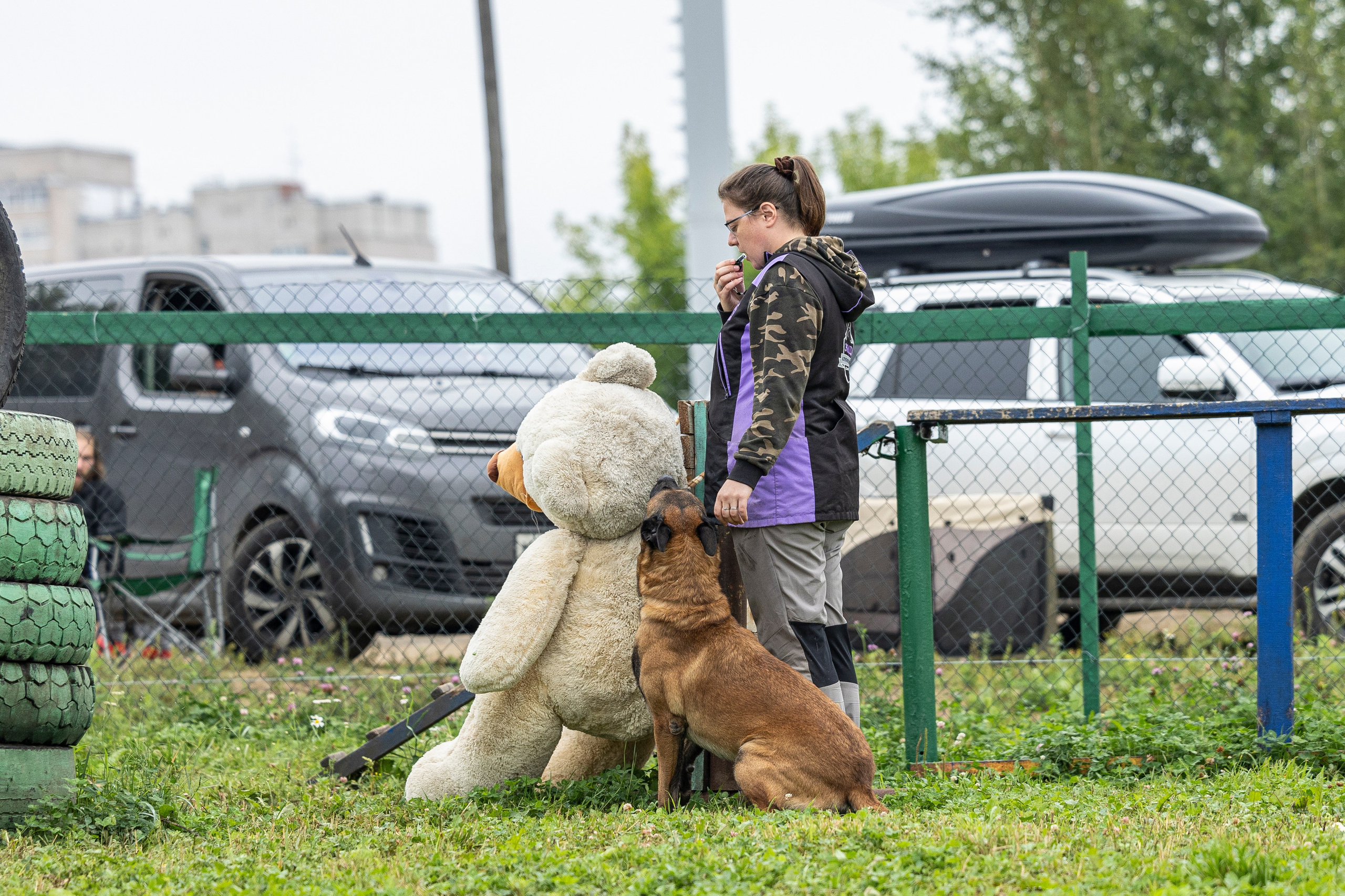 Соревнования по Мондьорингу г. Вологда 10-11.08.2024. Фотограф-анималист Анна Маринич