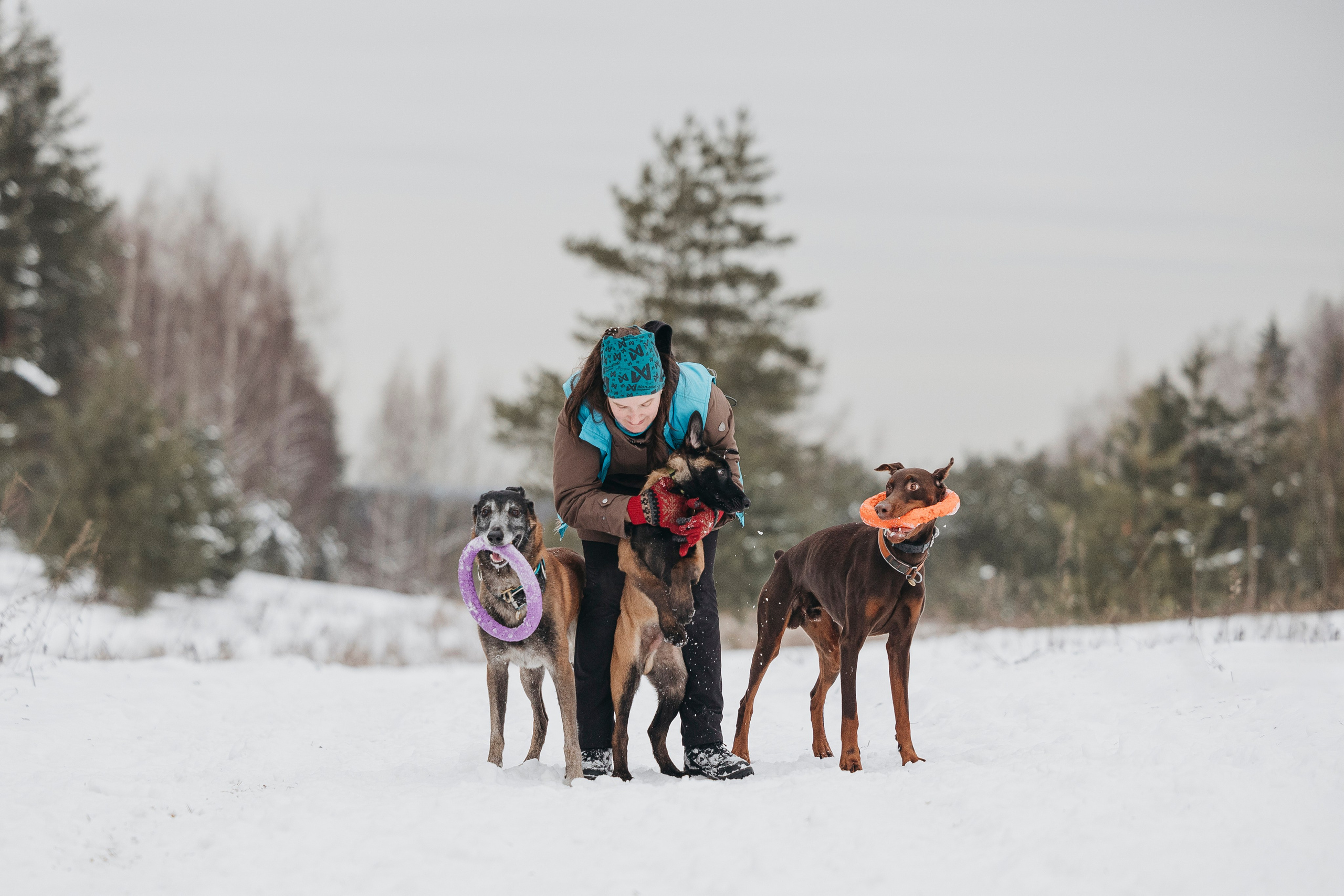 Даша, Омен, Айс и Рицу. Фотограф-анималист Анна Маринич