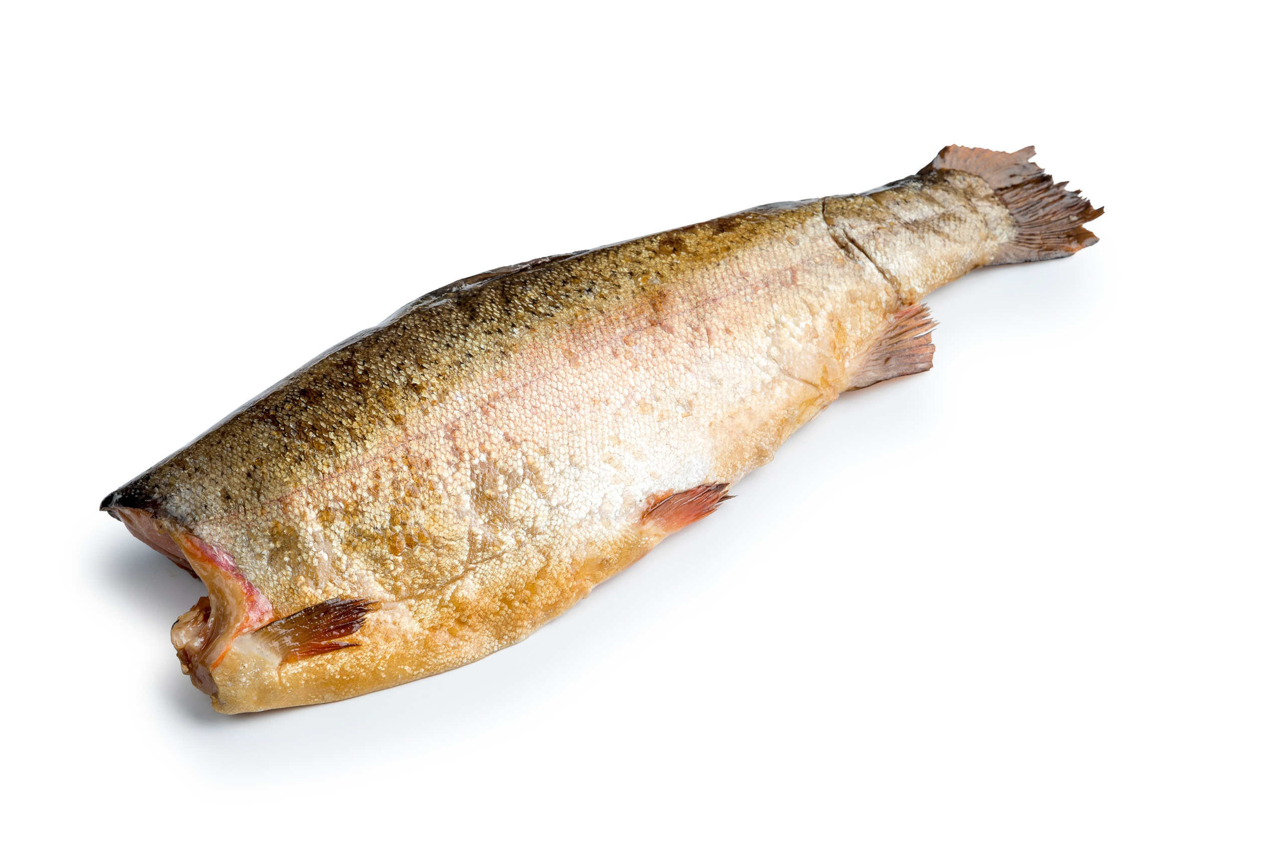 Сырое на белом. Фуд-фотограф Гумеров Ильдар