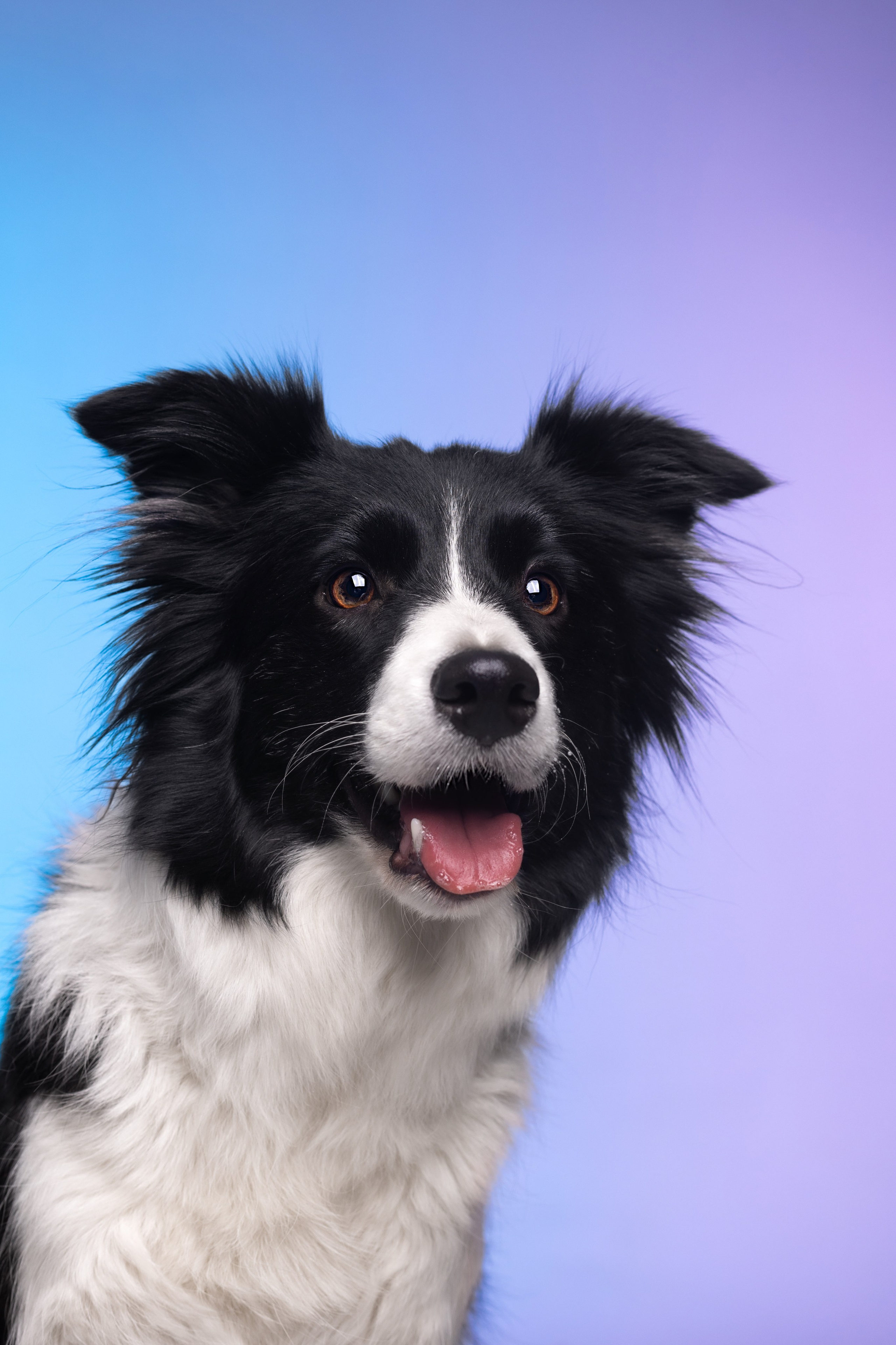 Неон. Фотограф анималист Кристина Карпова, Москва