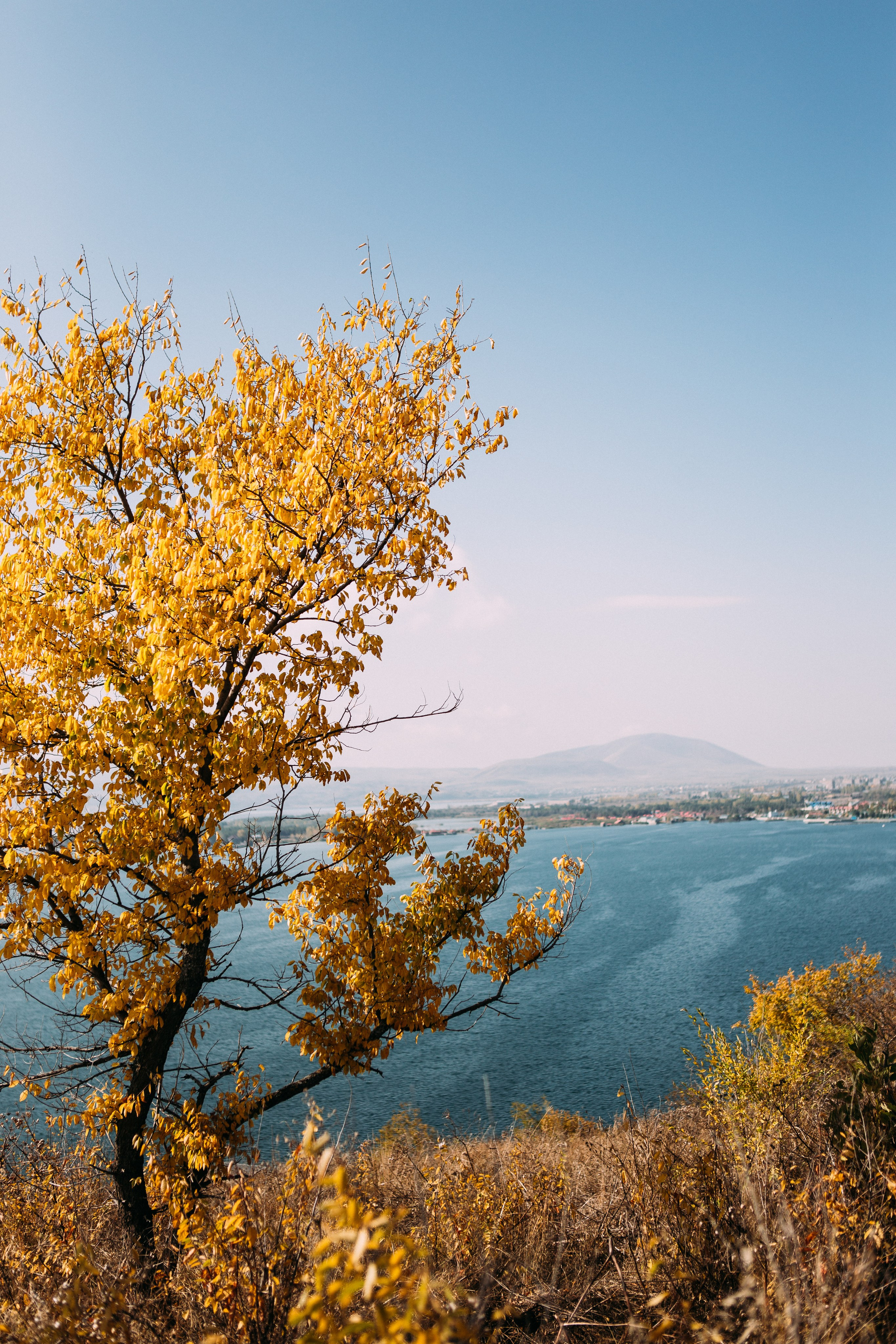 Yerevan. Фотограф Евгения Добротворская