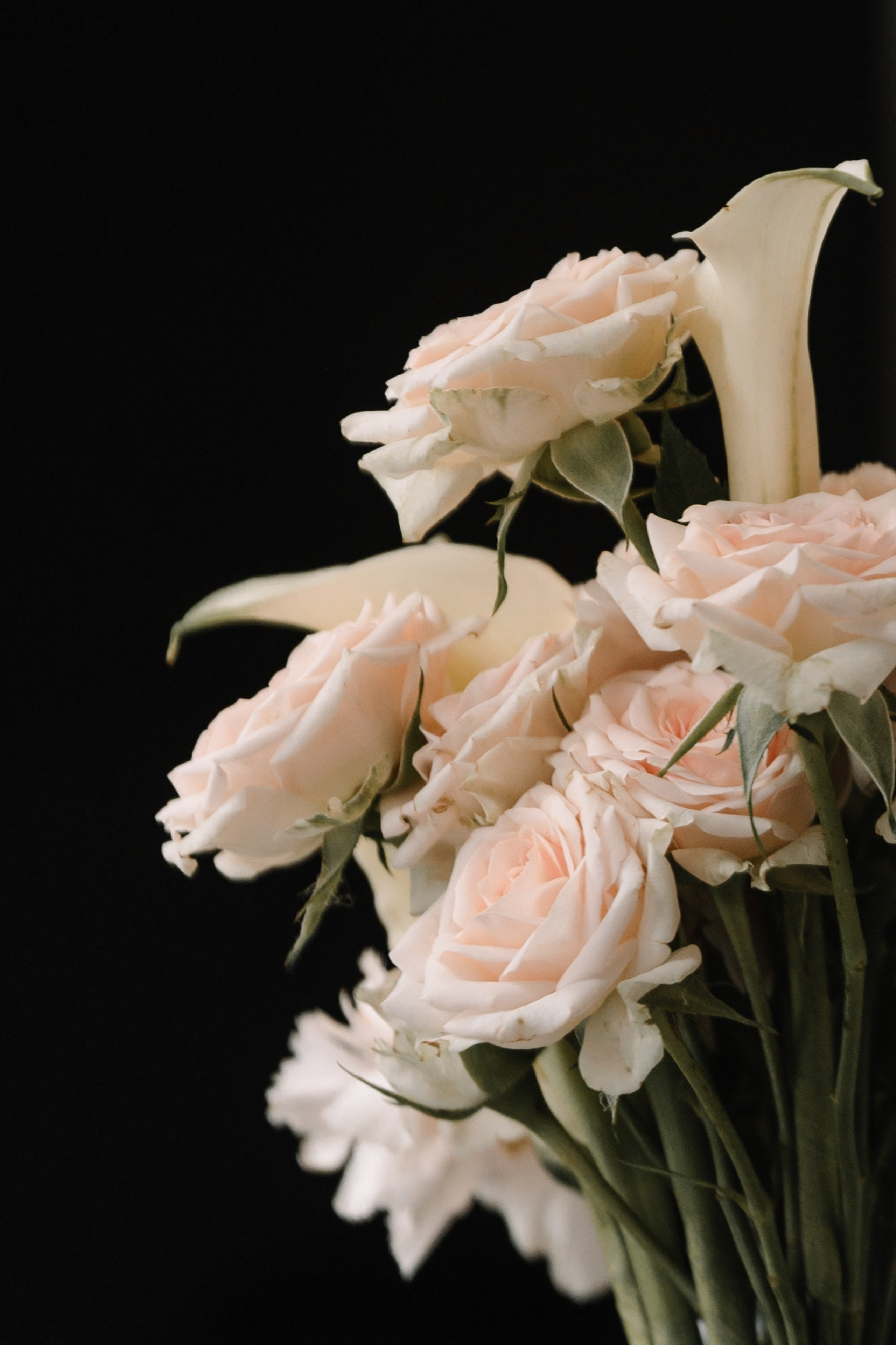 N & E. Свадебный и семейный фотограф в Красноярске Абраменко Настя