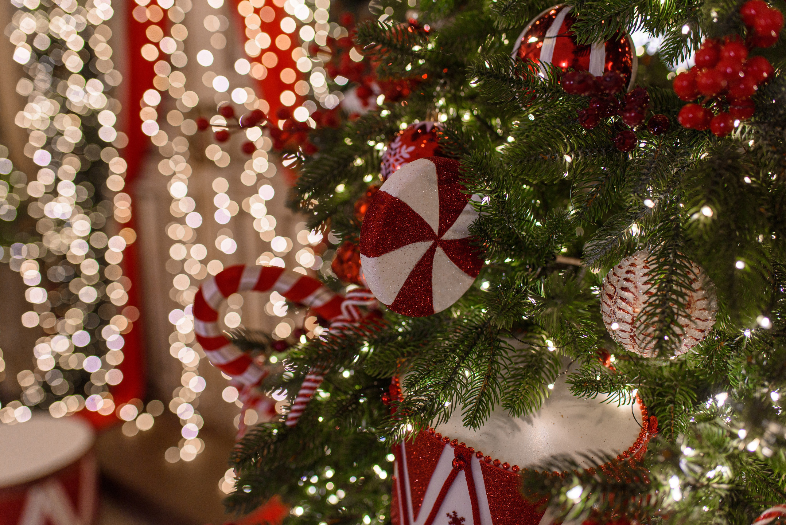 Новый 2026 год. Фотостудия «PurPur»