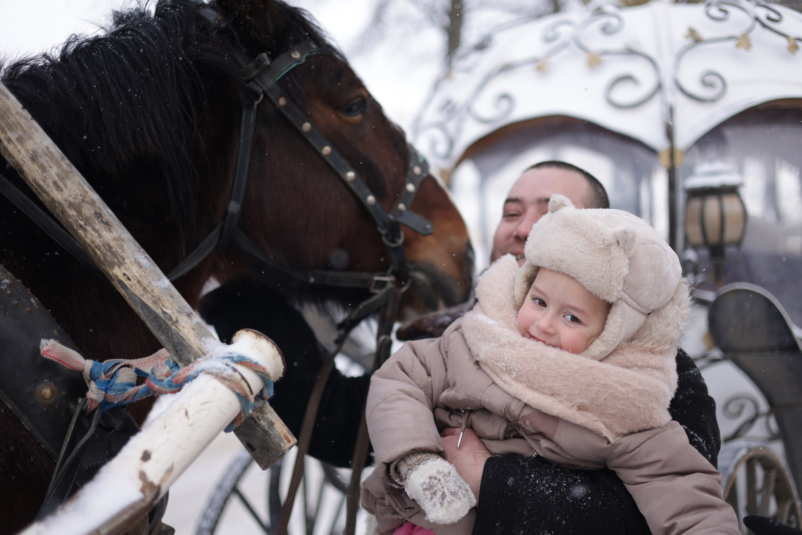 Кирилл и Анфиса Суздале. Сайт фотографа Ирины Аникановой