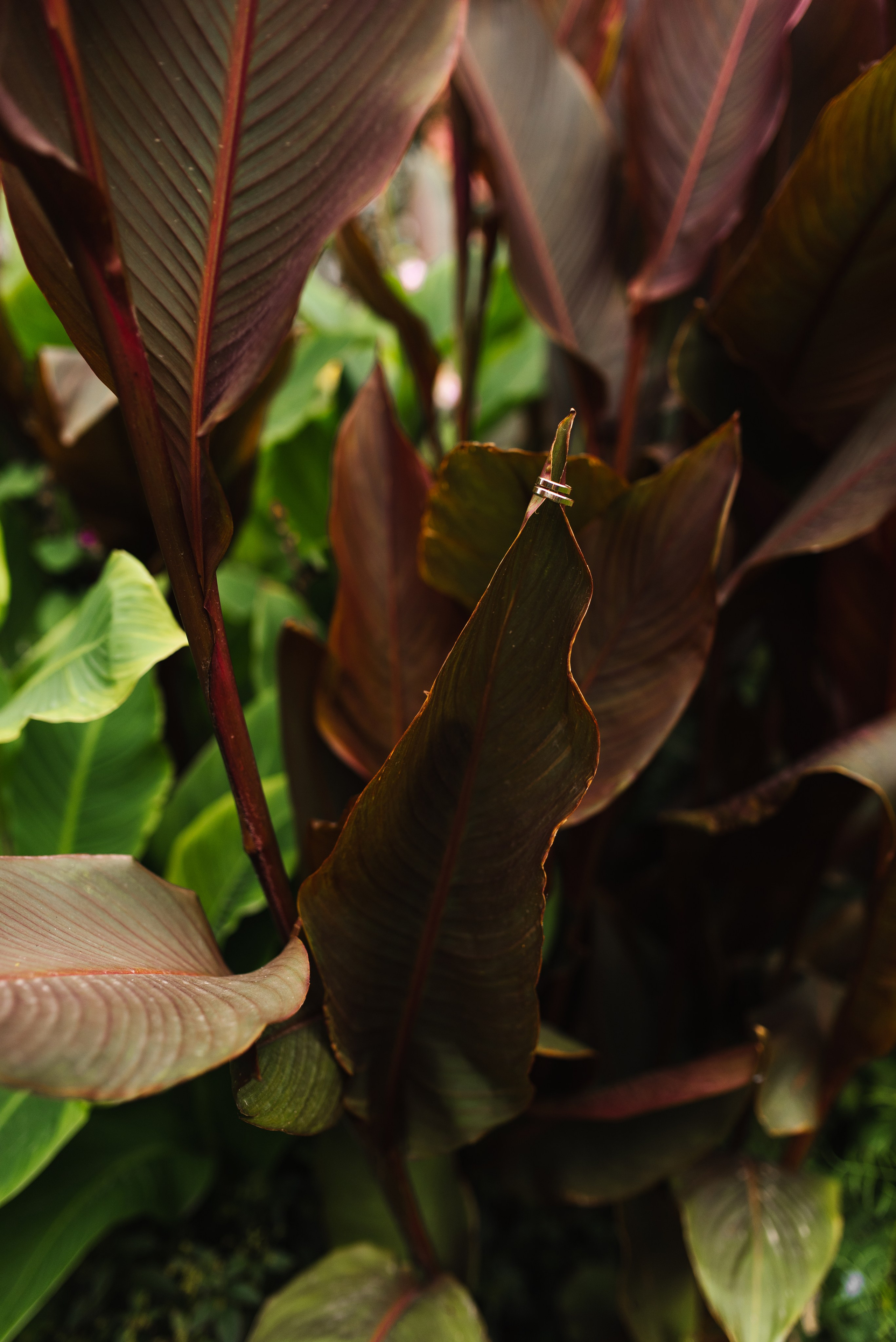 Атмосферно!. Свадебный фотограф Анастасия Бударина