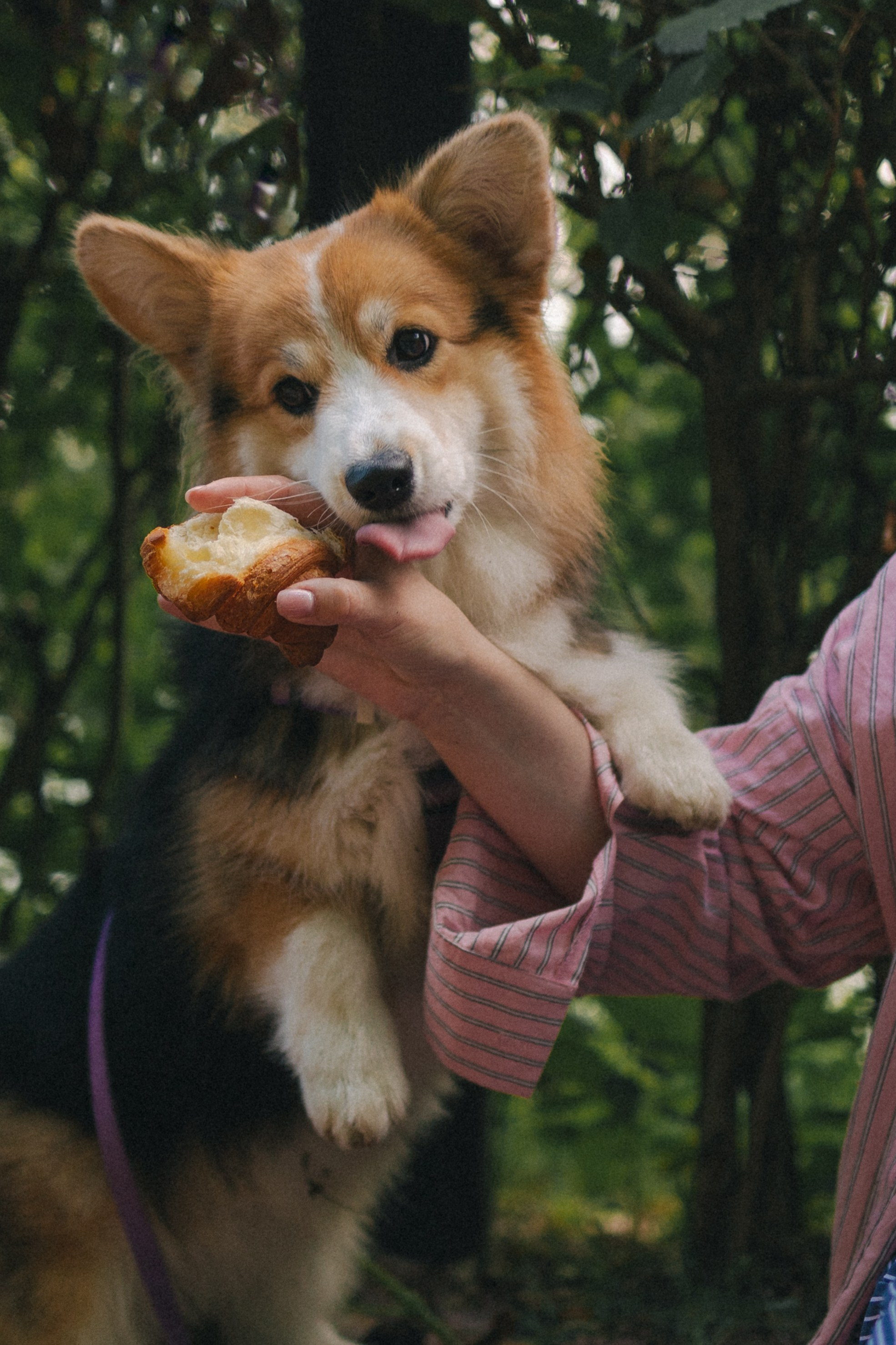 Мишель и Влада. Фотораф — анималист Мария Шистка