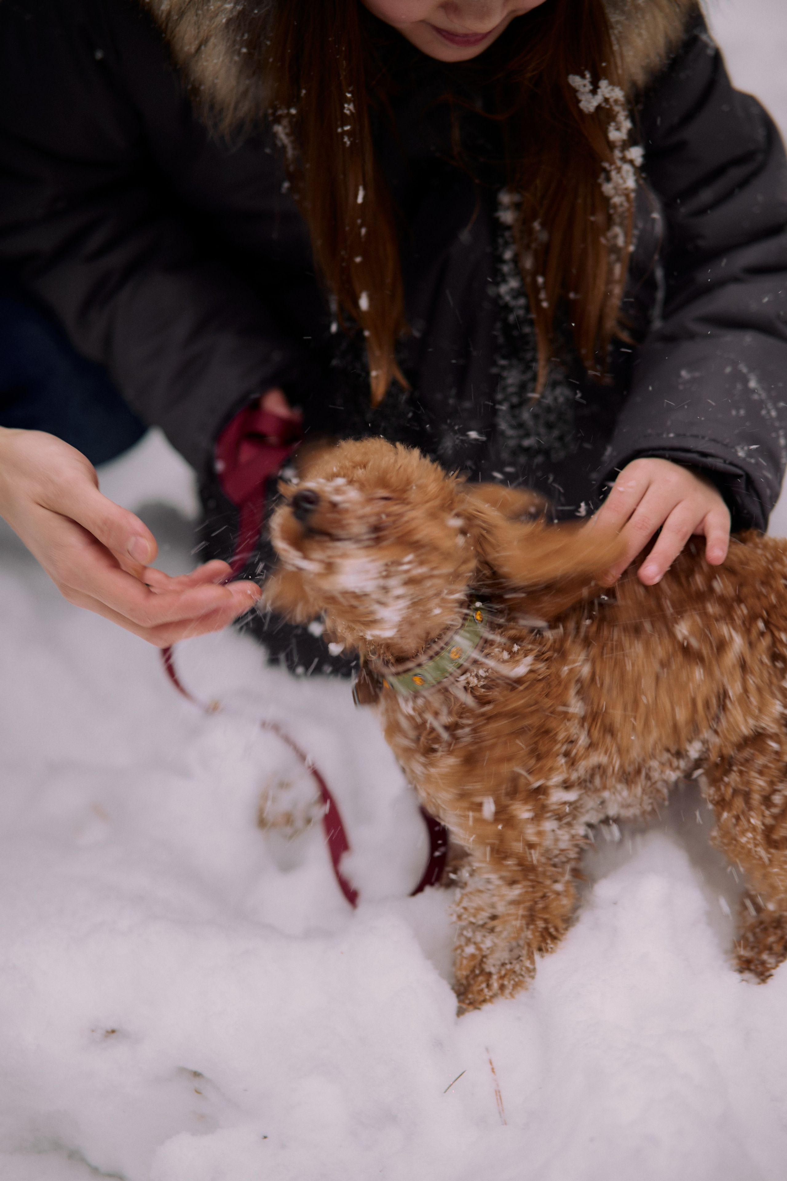 Дима, Лиза и Милана. Семейный и свадебный lifestyle-фотограф в Москве Мария Петрова