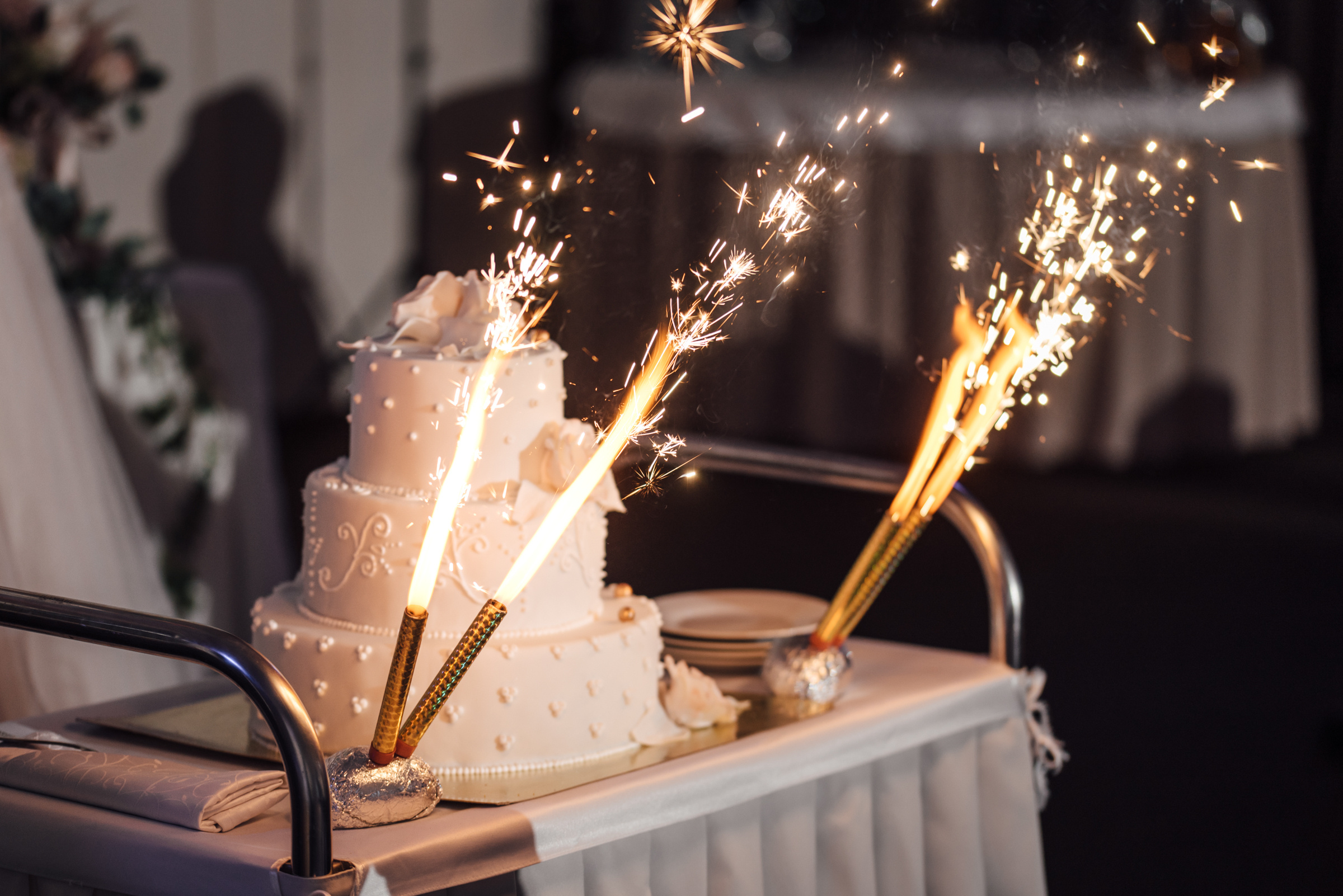 Свадебная фотосессия в Павловском дворце и парке. Свадебный фотограф в Санкт-Петербурге Венера Ахметова