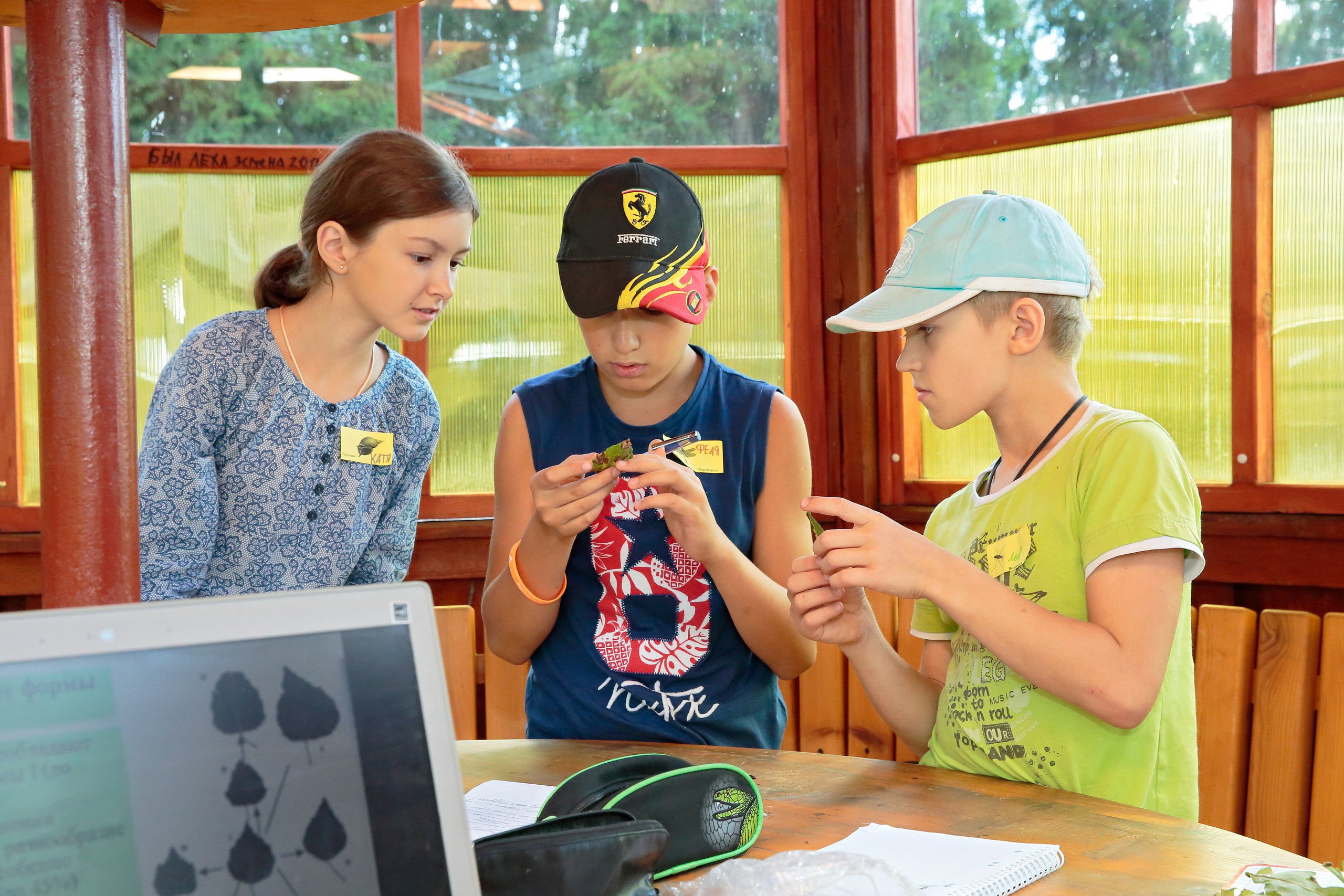 ЛАНАТ 2015. Попов.фото — Предметная фотостудия в Новой Москве