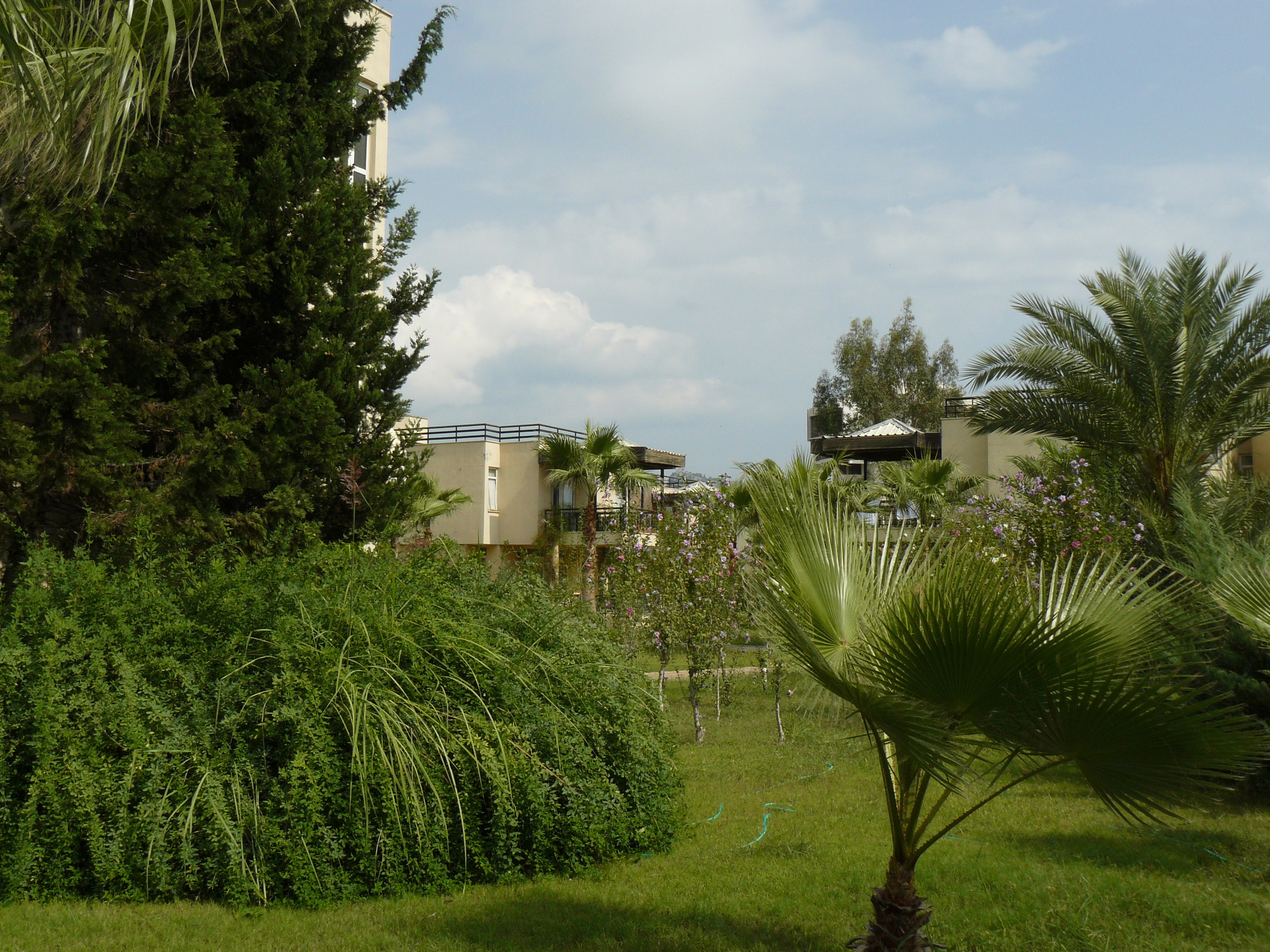 Кемер, Чамьюва 2008. Избранные фотографии