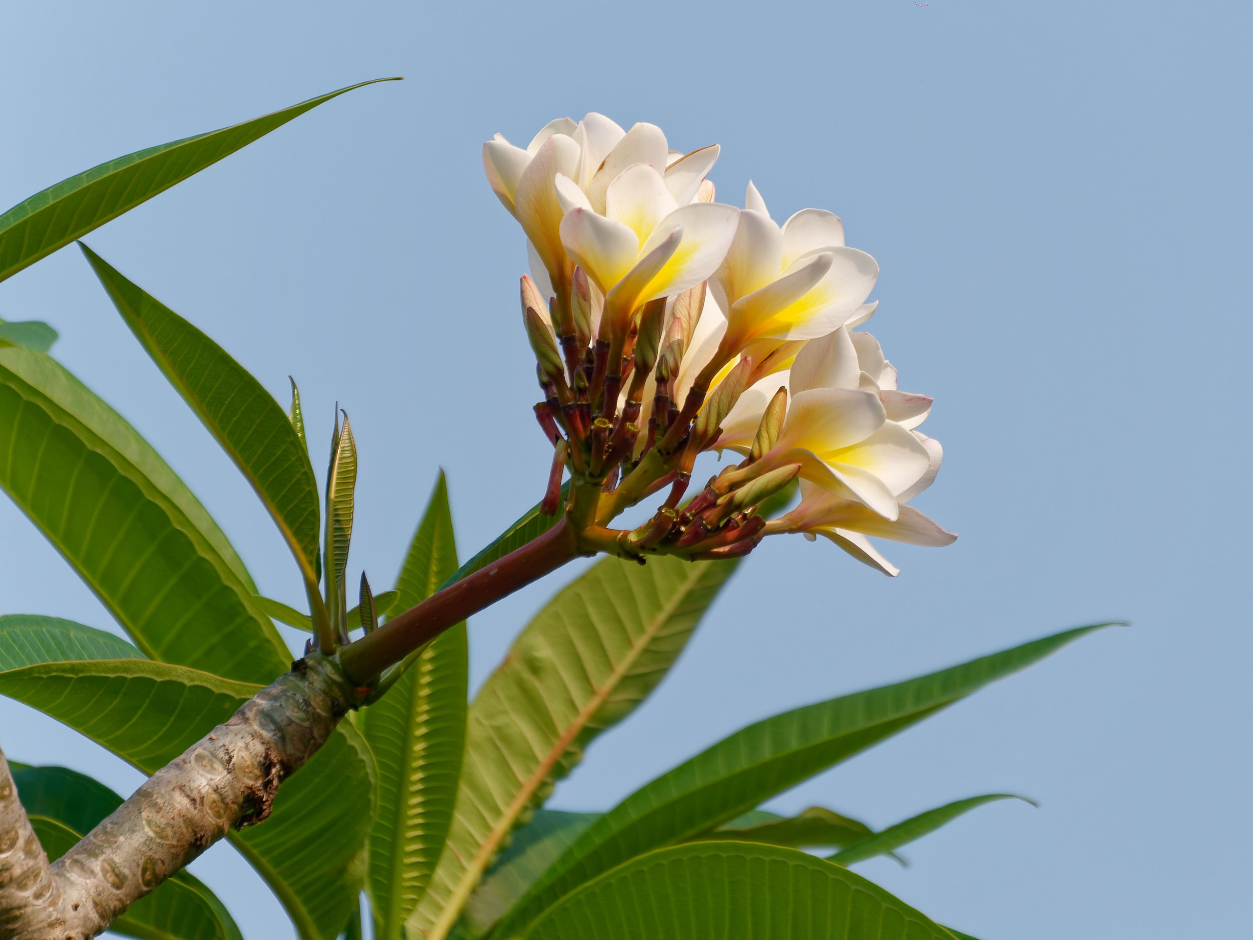 Хайнань 2026, первые впечатления. Фотопрогулки по Миру