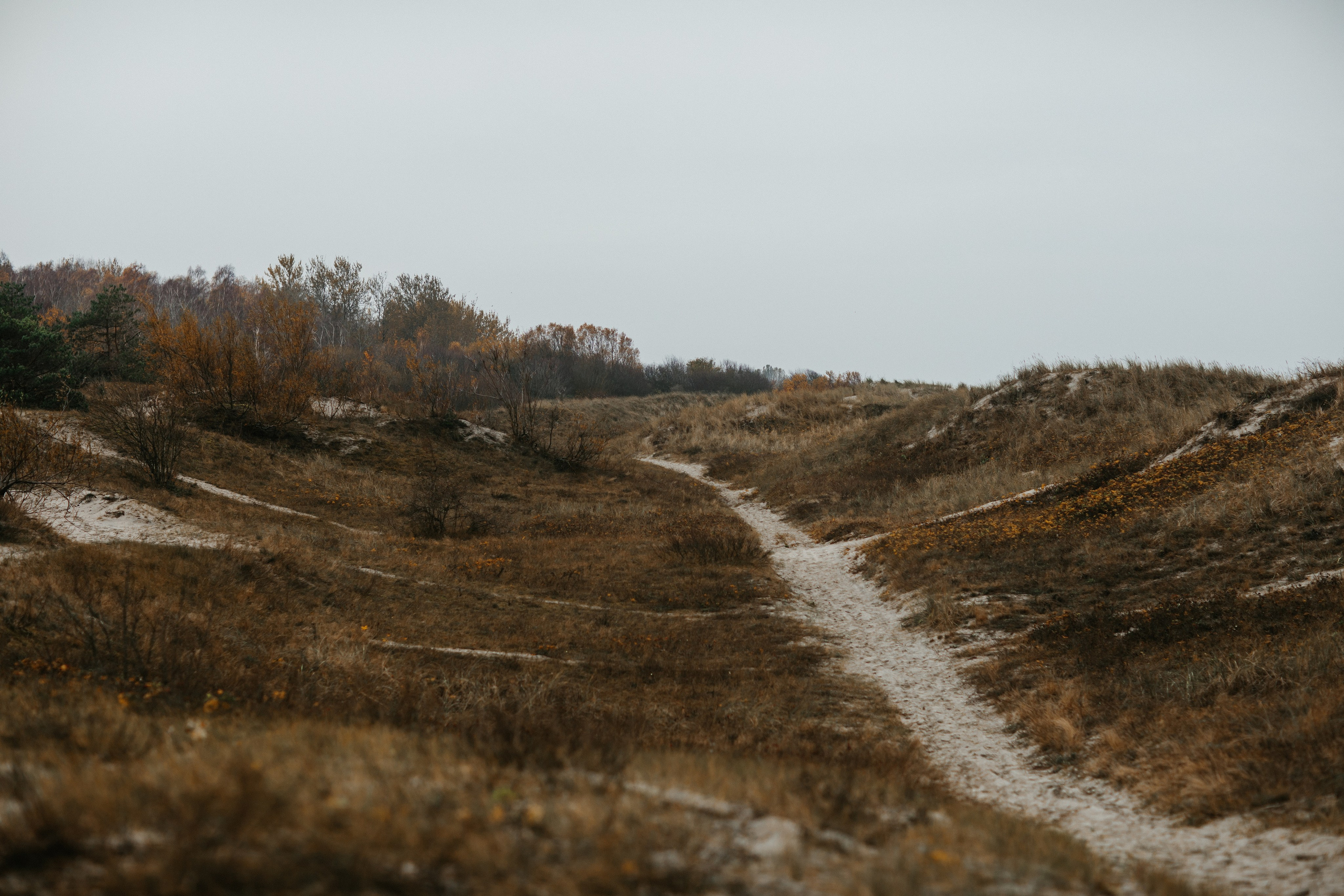 Фотосессия в Балтийске. Https://malovafoto.ru