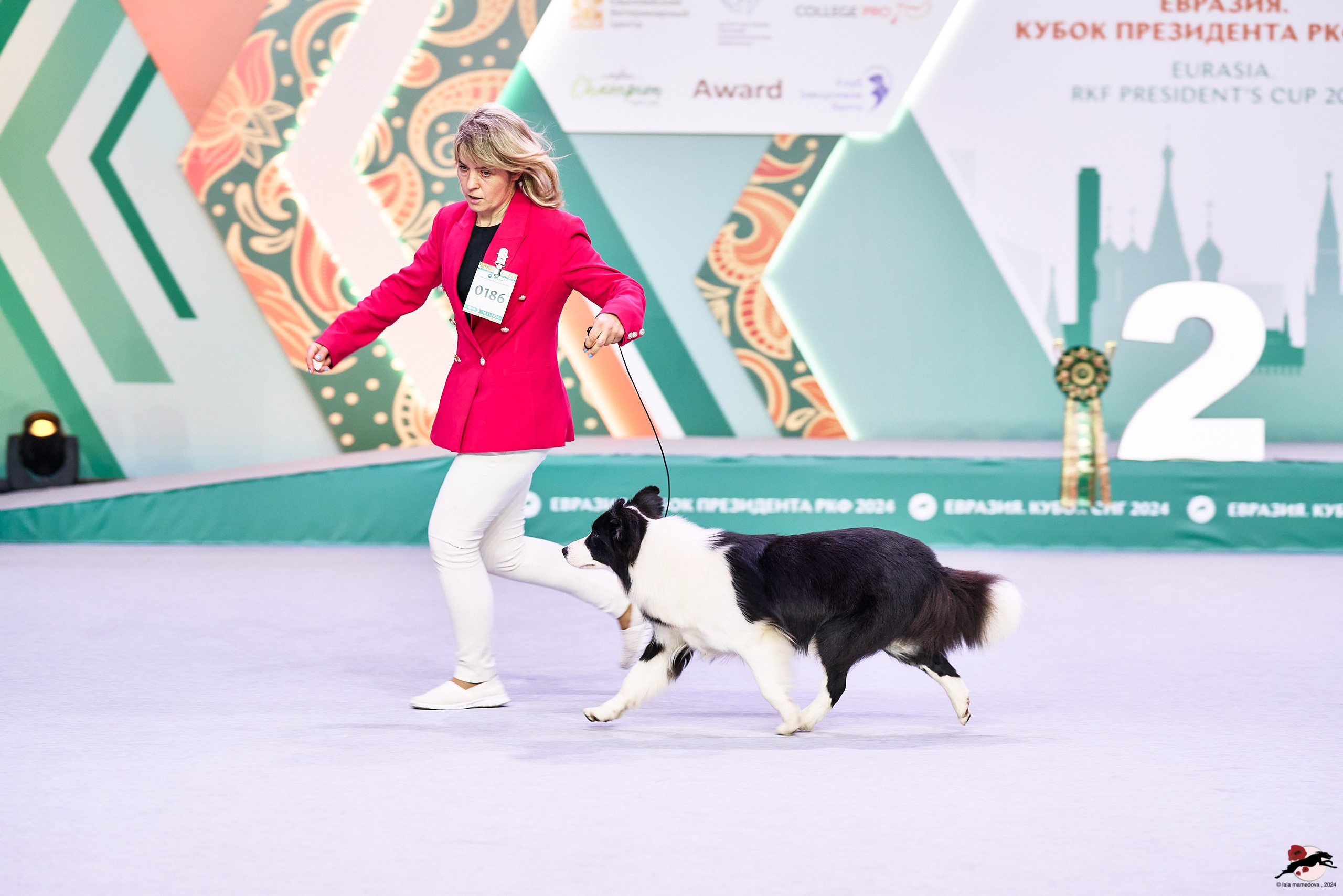 16.11.2024 «ЕВРАЗИЯ. КУБОК ПРЕЗИДЕНТА РКФ 2024»