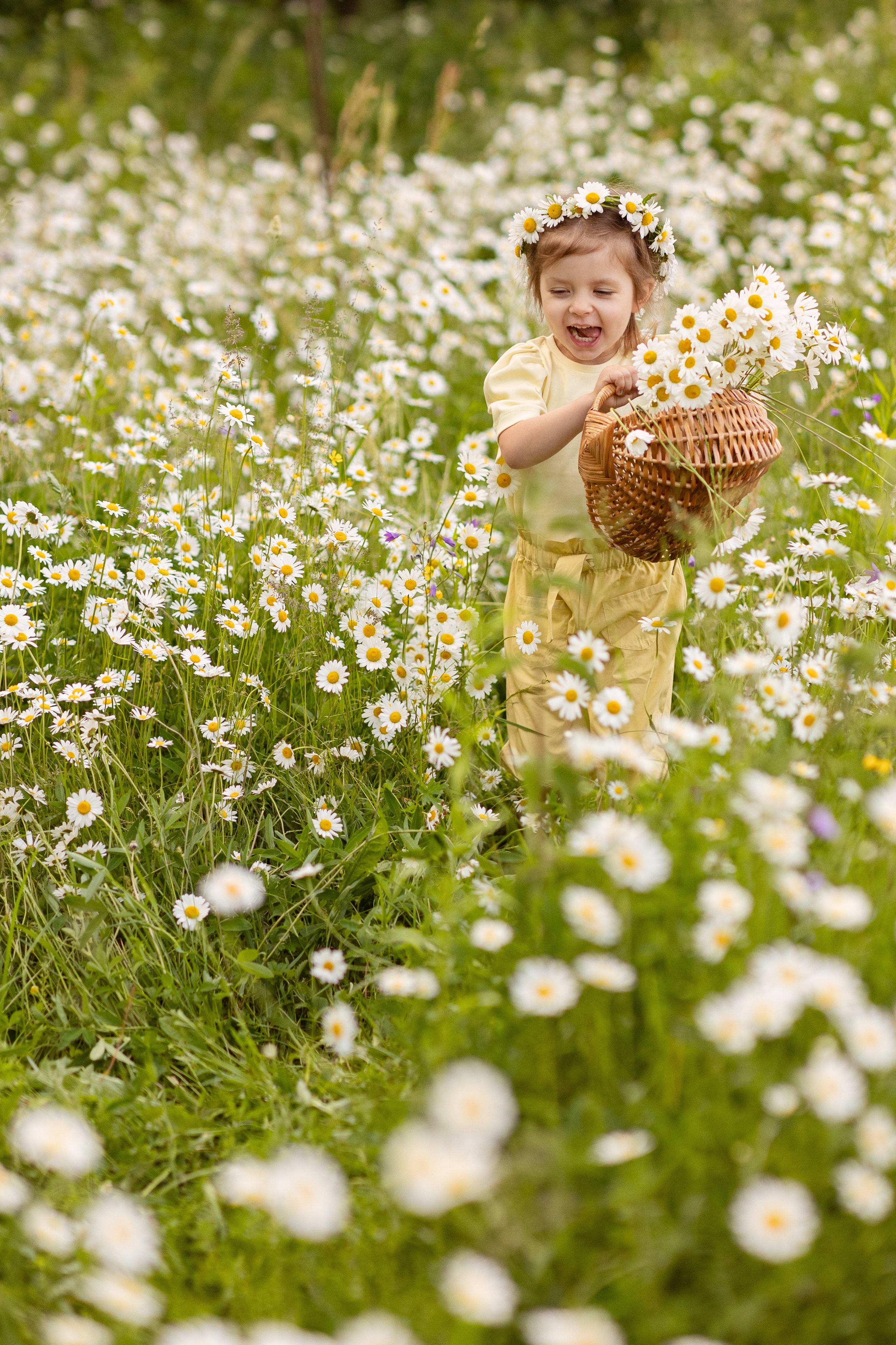 Ромашки. Семейный фотограф в Москве Маркина Татьяна