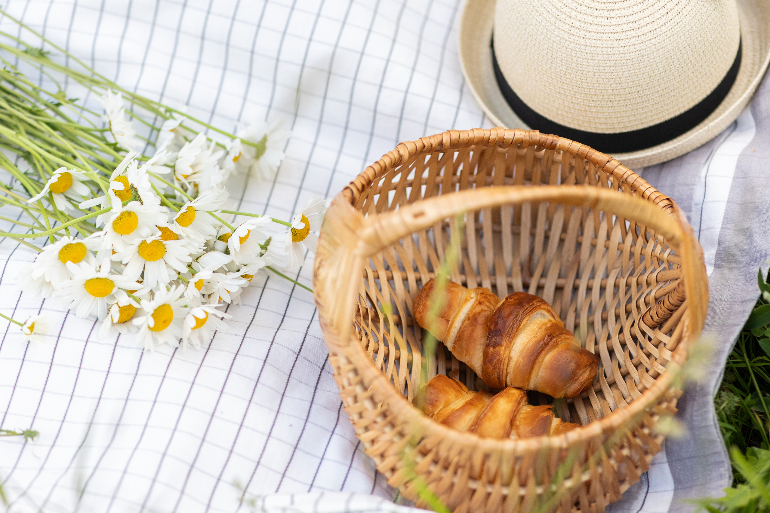 Ромашки. Семейный фотограф в Москве Маркина Татьяна