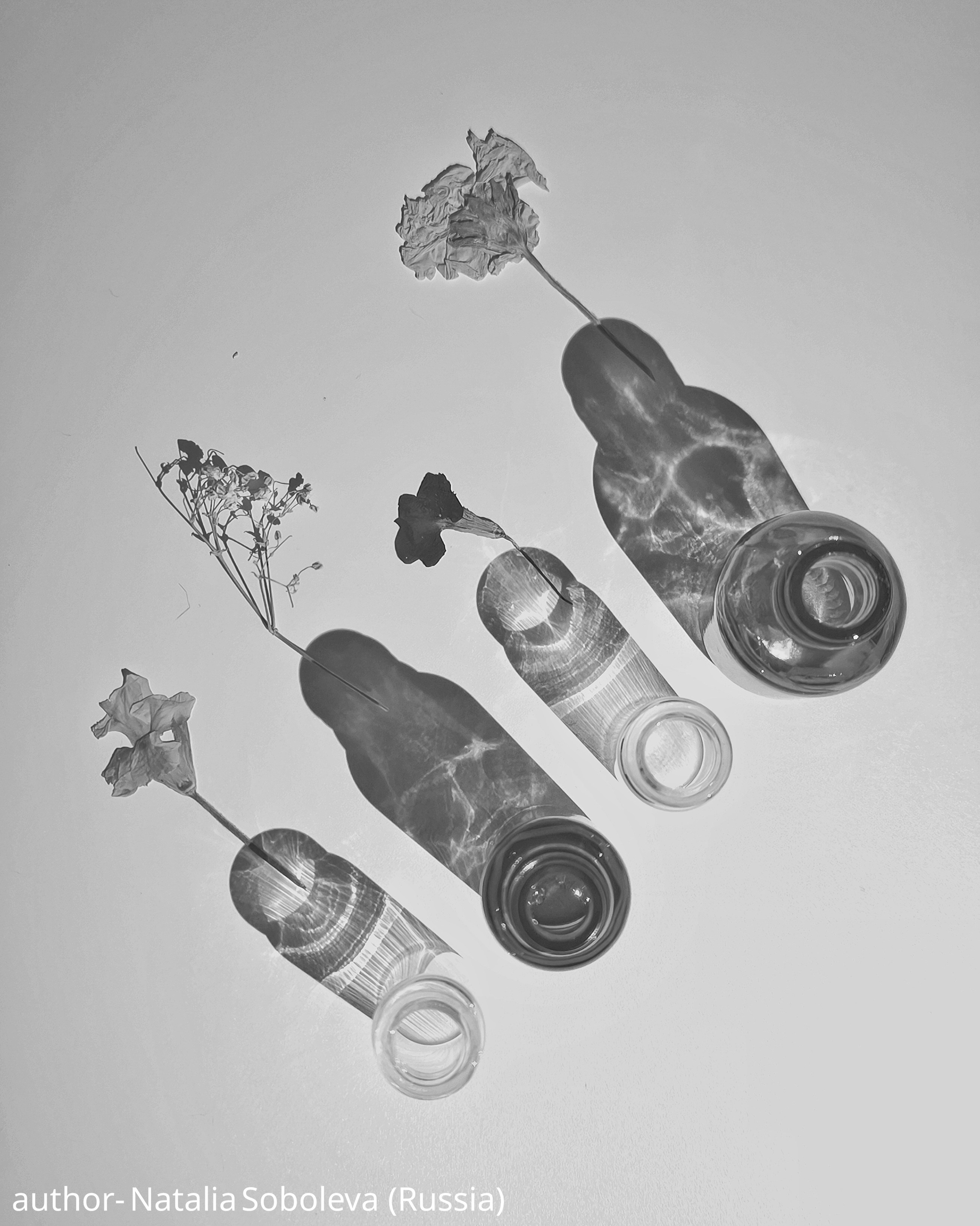 Gallery. UNUSUAL TALENT magazine