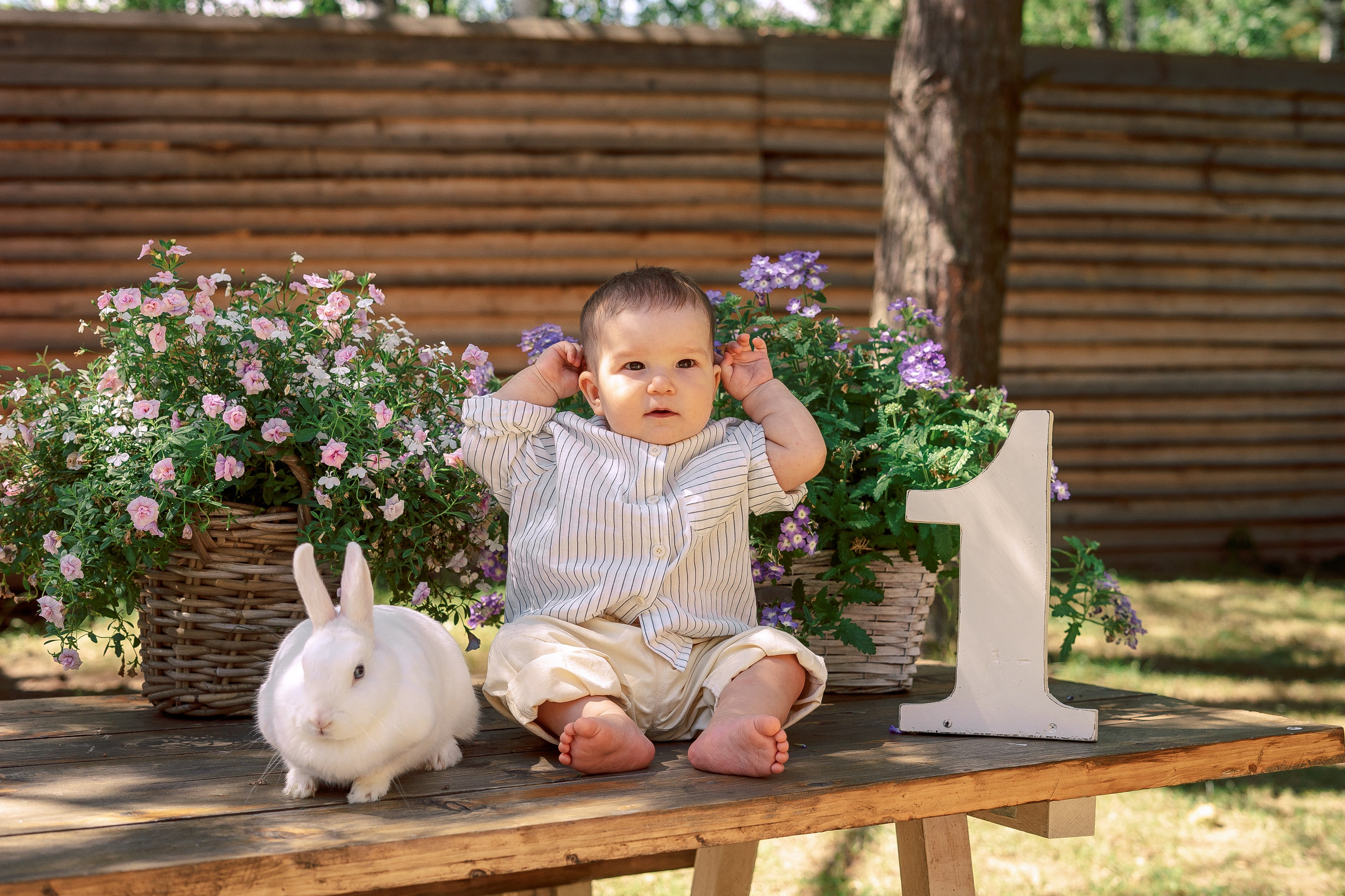 Годик Платону. Фотограф в Казани Алсу Багабиева