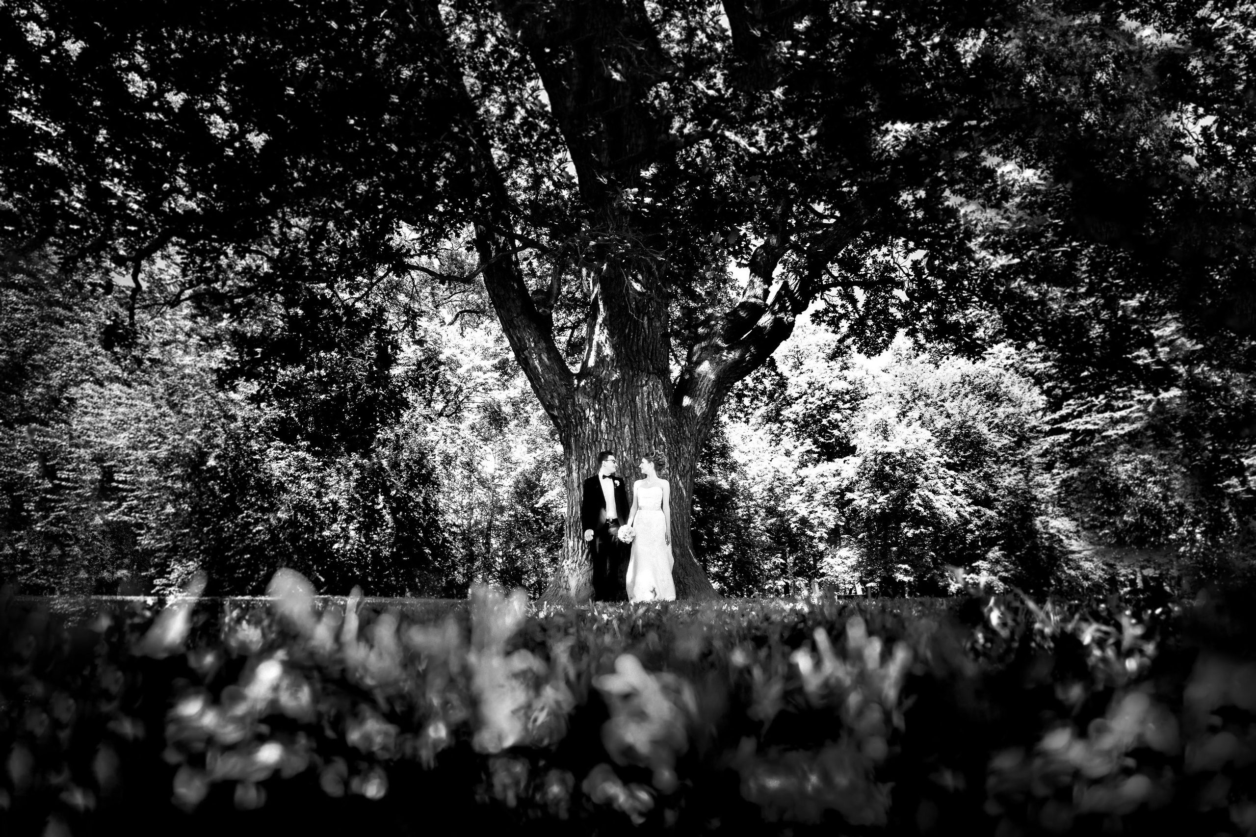 Свадьбы. Фотограф Вереницын Вадим