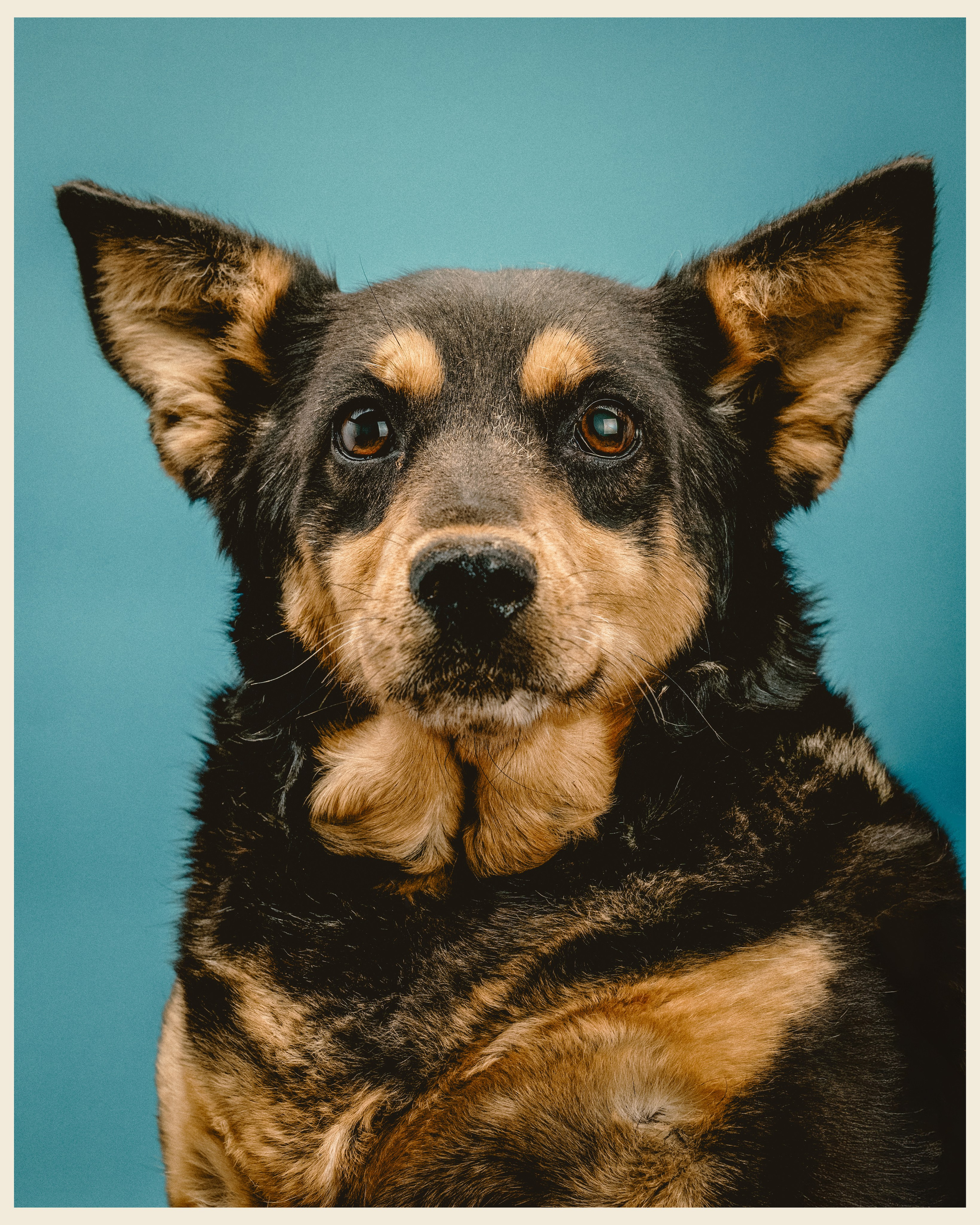 OM x VANO. Ivan Petrov photographer