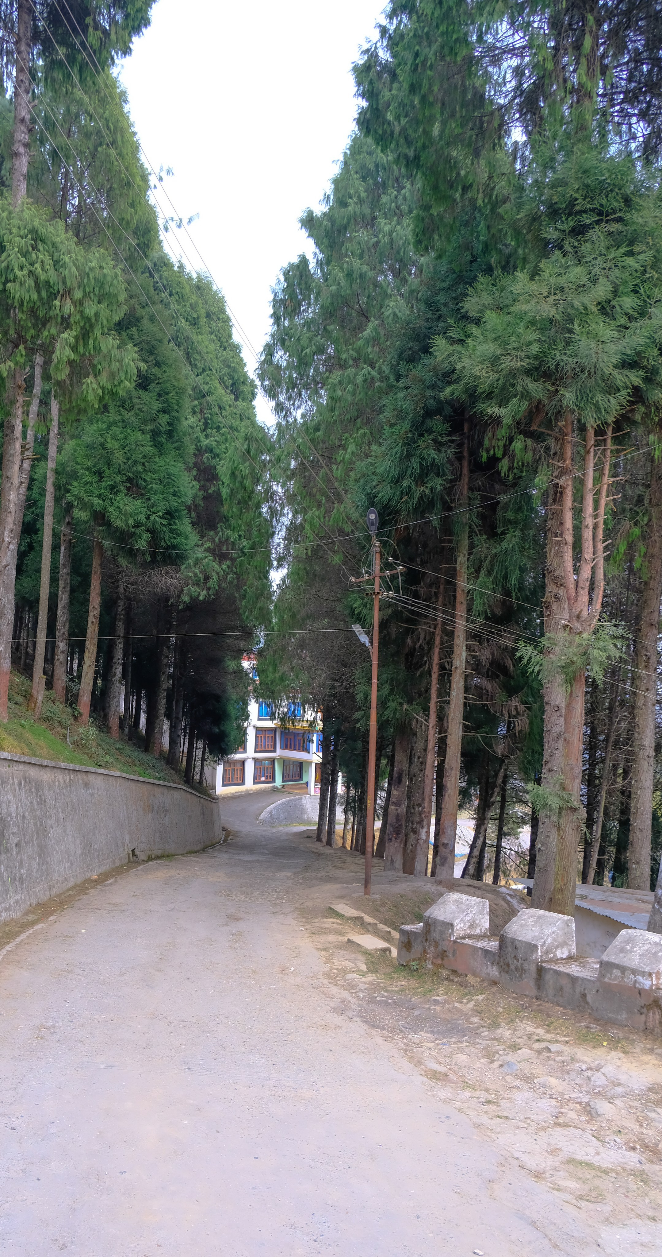 Индия штат Аруначал-Прадеш. Фотографии из путешествий