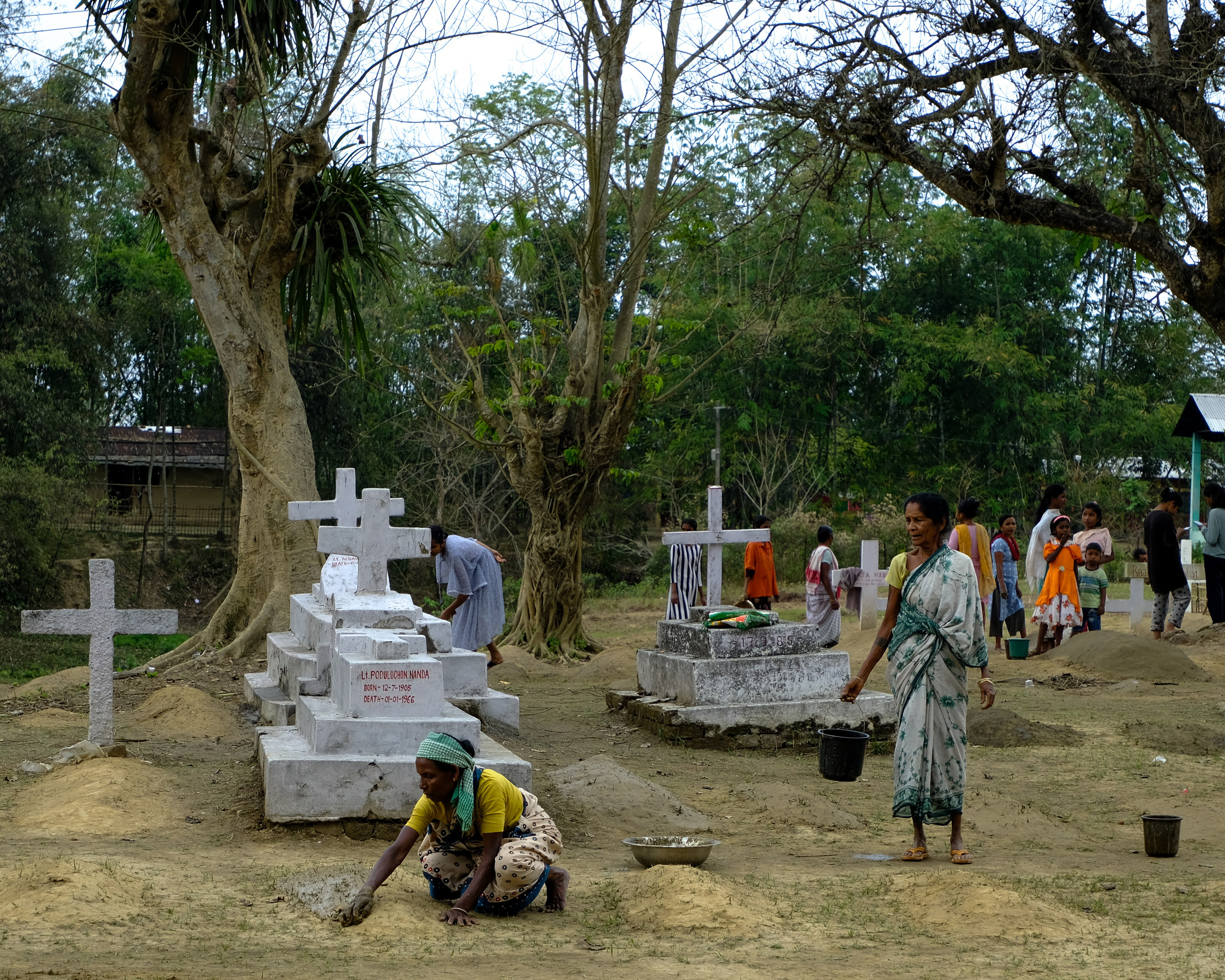 Ассам и Казиранга. Фотографии из путешествий