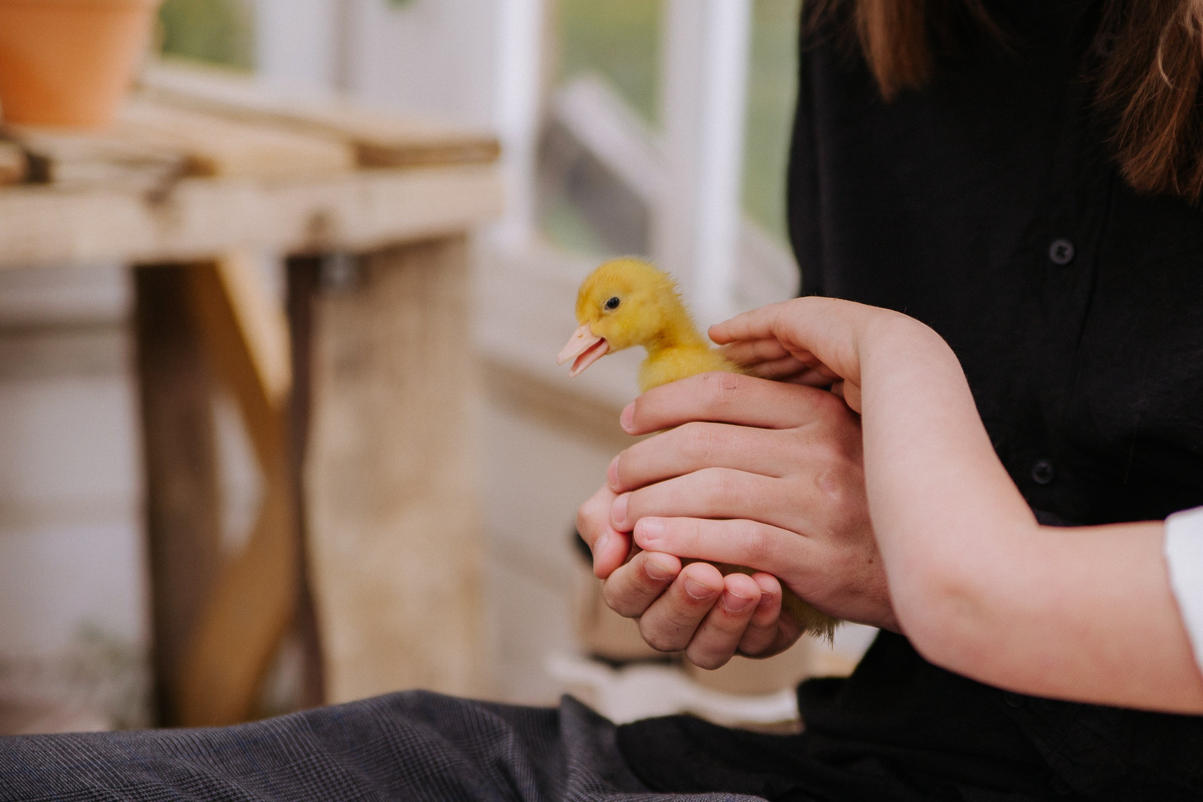 Юлия. Семейный и персональный фотограф в Ростове-на-Дону