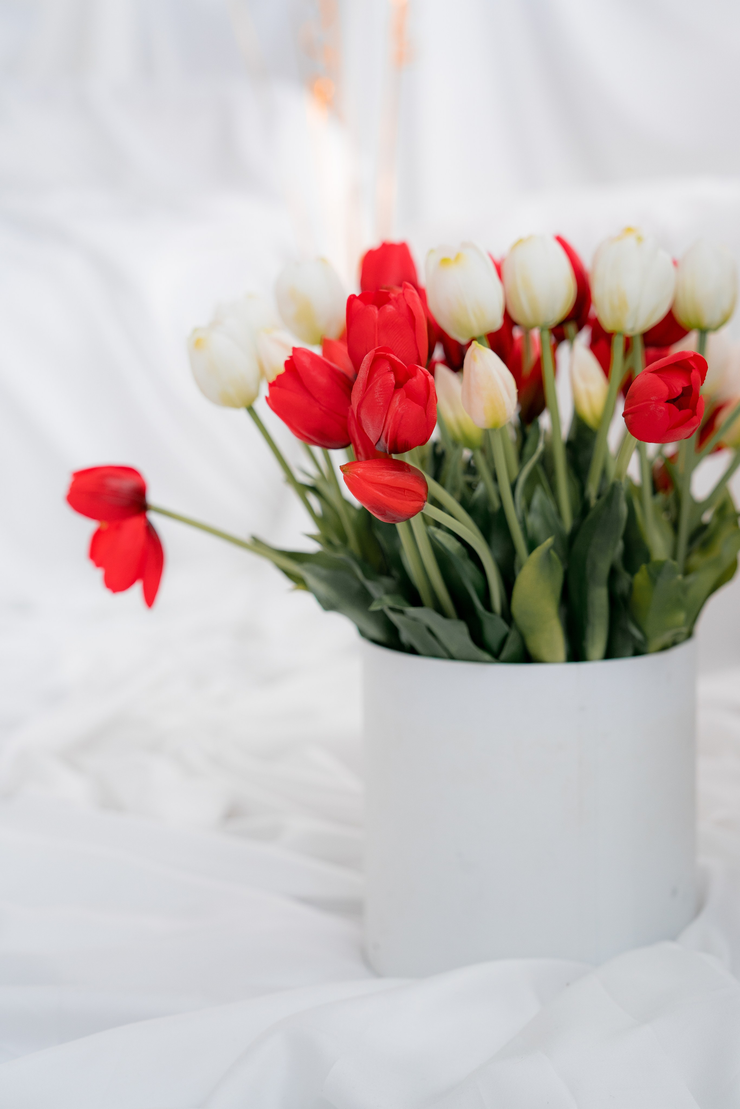 Фотостудия. Фотостудия Малина в городе Улан-Удэ. Фотограф Ирина Жарникова