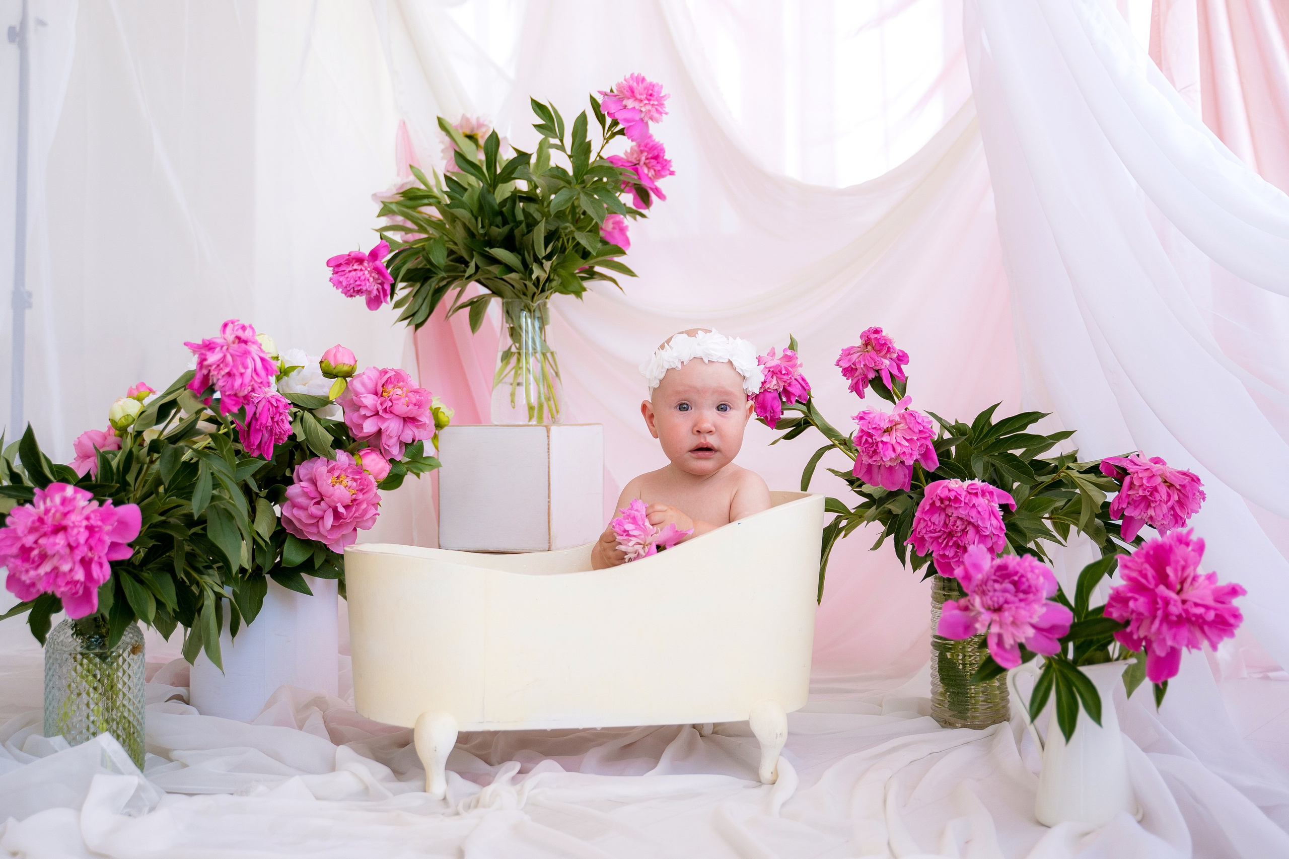 Пионы. Фотостудия Малина в городе Улан-Удэ. Фотограф Ирина Жарникова