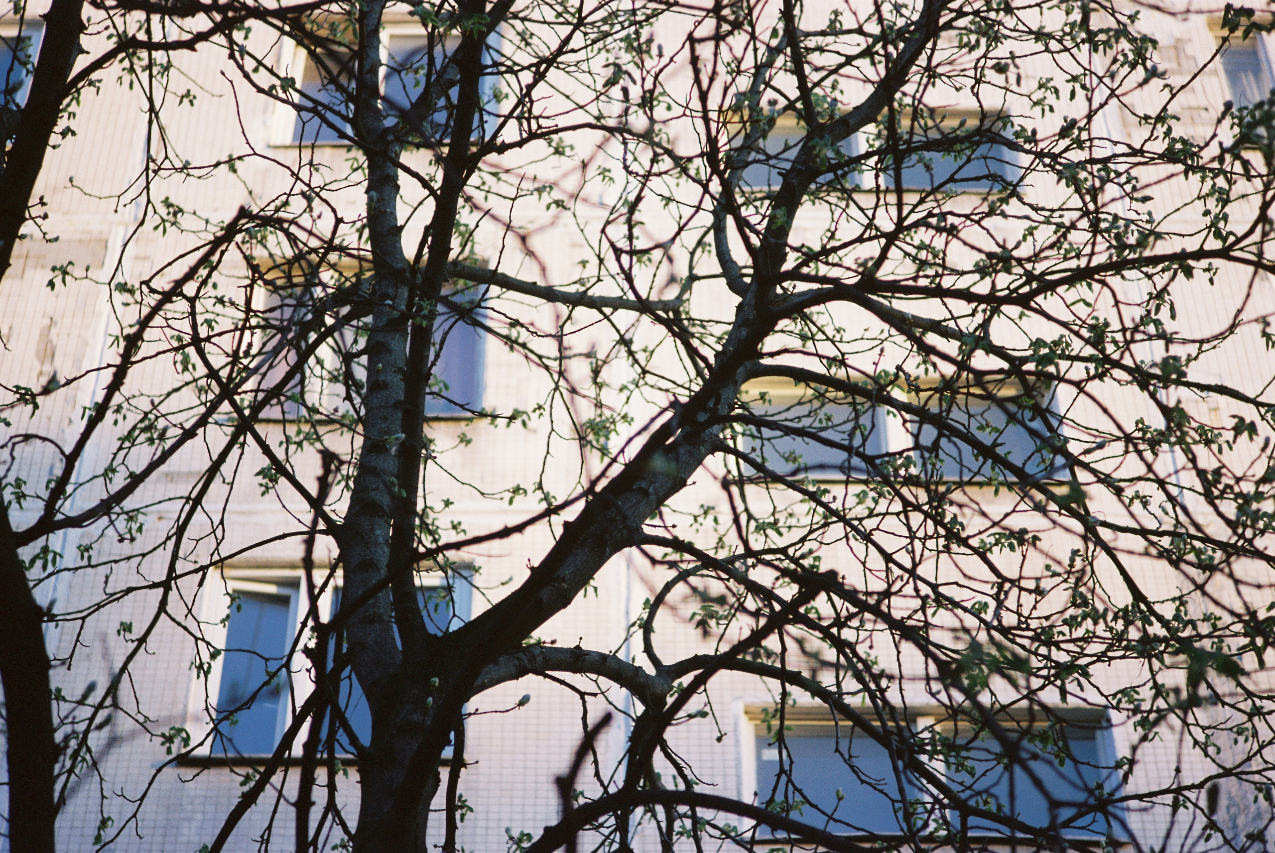 Плёнки. Кира Кечекьян — фотограф в Москве