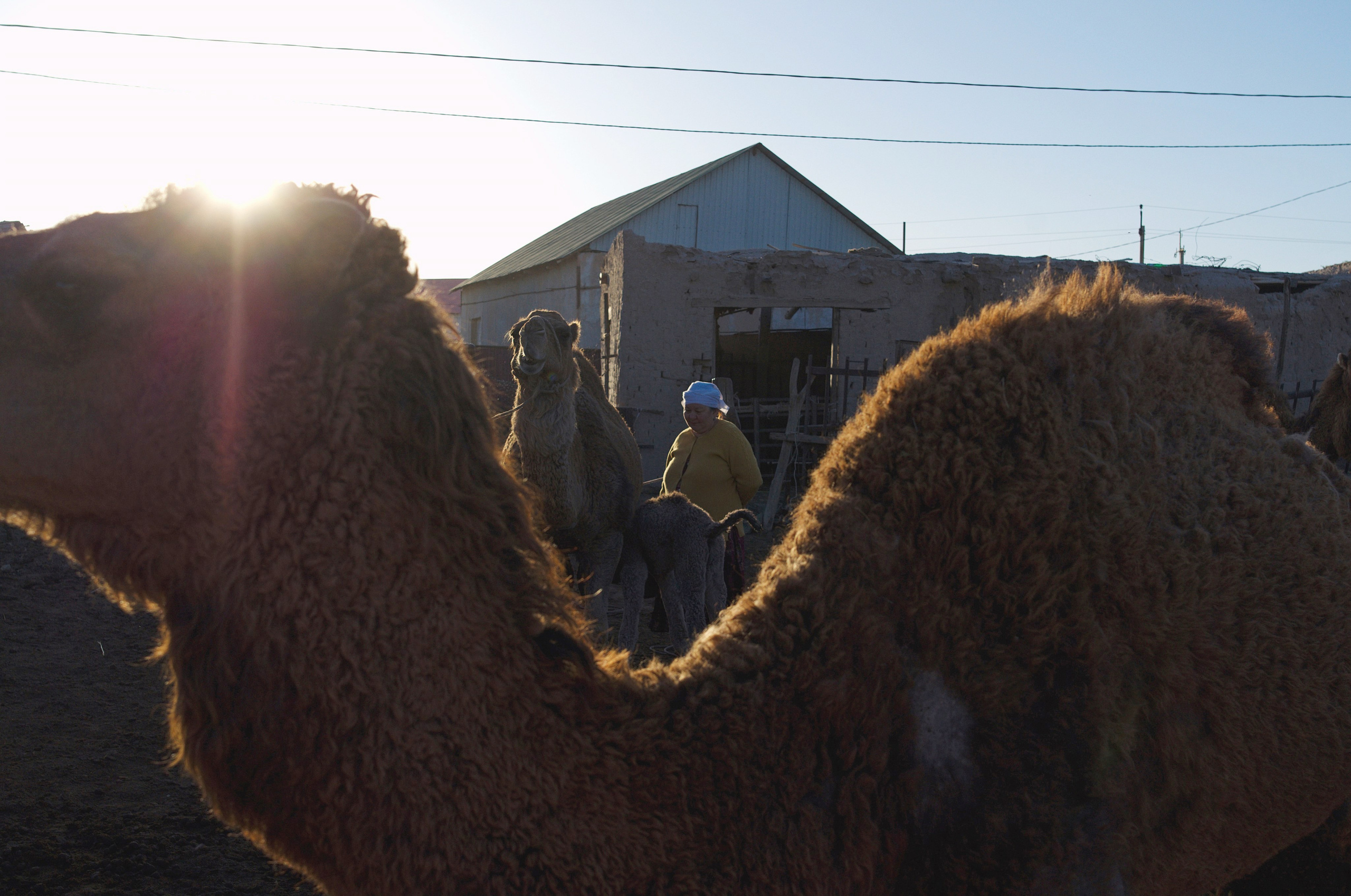 Aral’s Post-Soviet Dust. Dmitry Ermakov. Documentary photographer