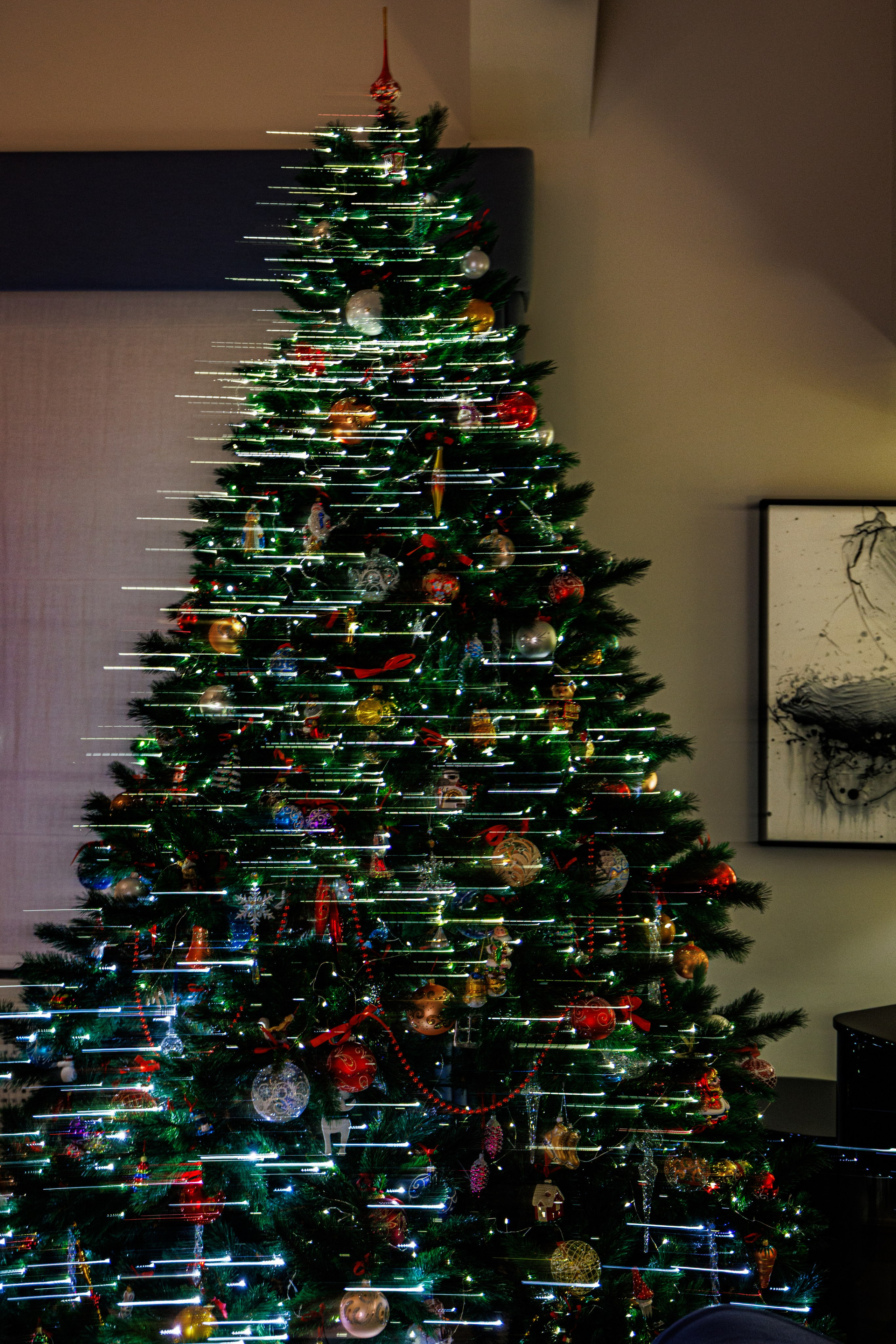 Природа 31 Декабря 2025 года. Клены. Фотографирую жизнь! Московский фотограф волонтер