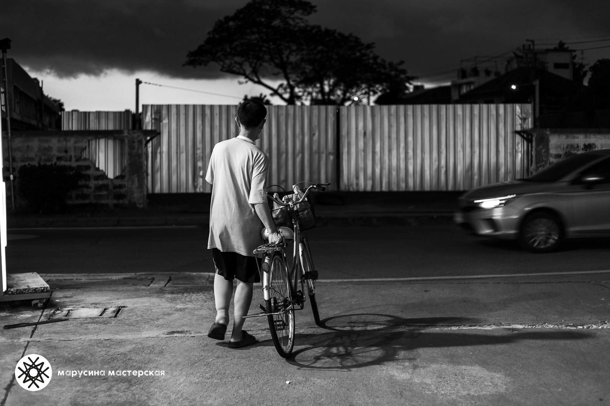 Ксения Щеглова