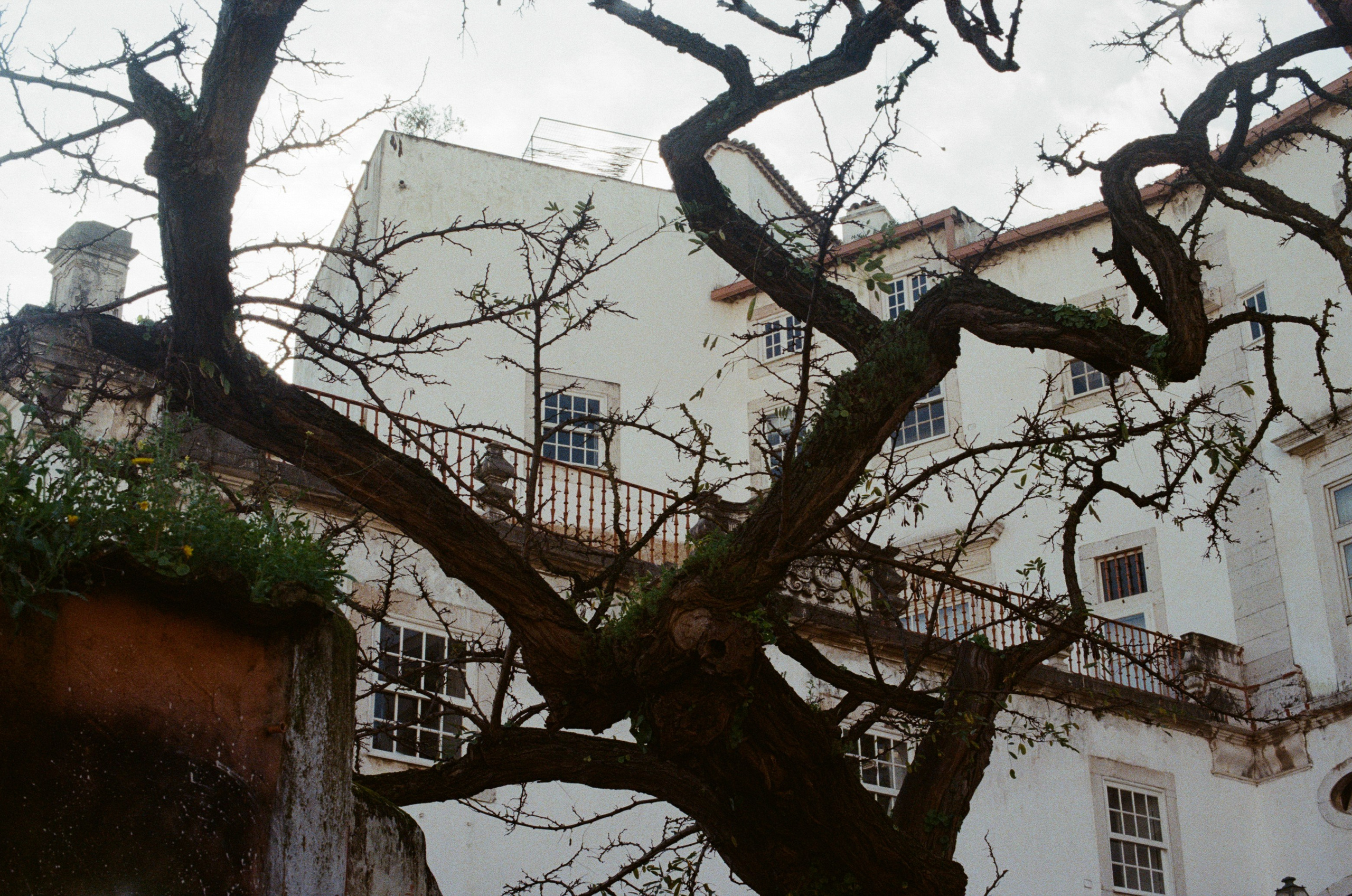 I think i'm ok // portugal, lissabon. EVER EXPOSED